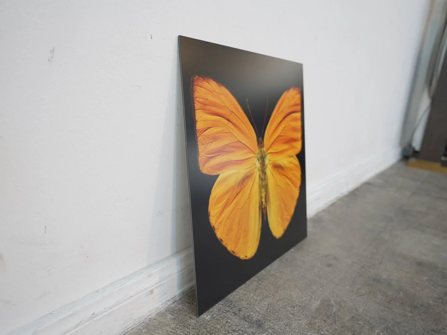 Photo Apr 23 2026, 12 21 45 PM.jpg