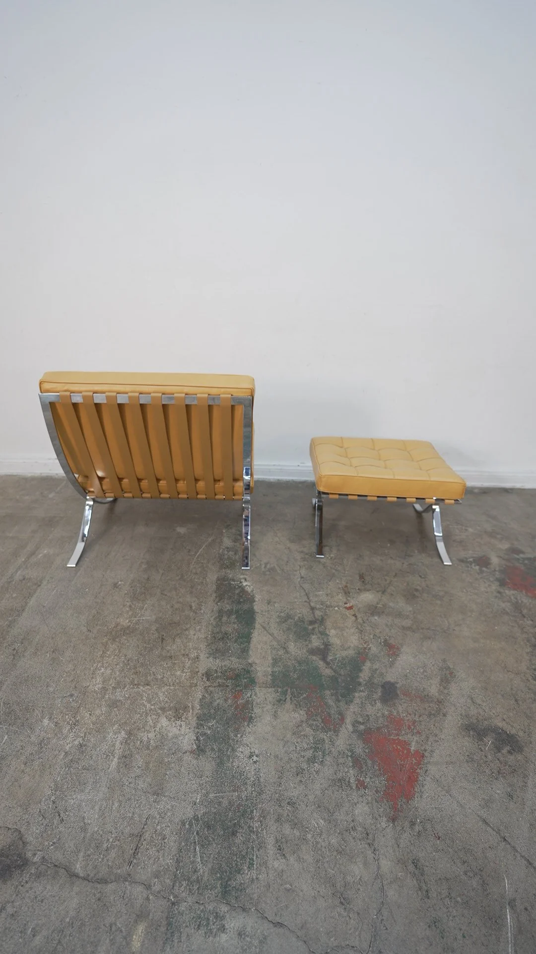 Photo Apr 21 2026, 1 07 05 PM.jpg