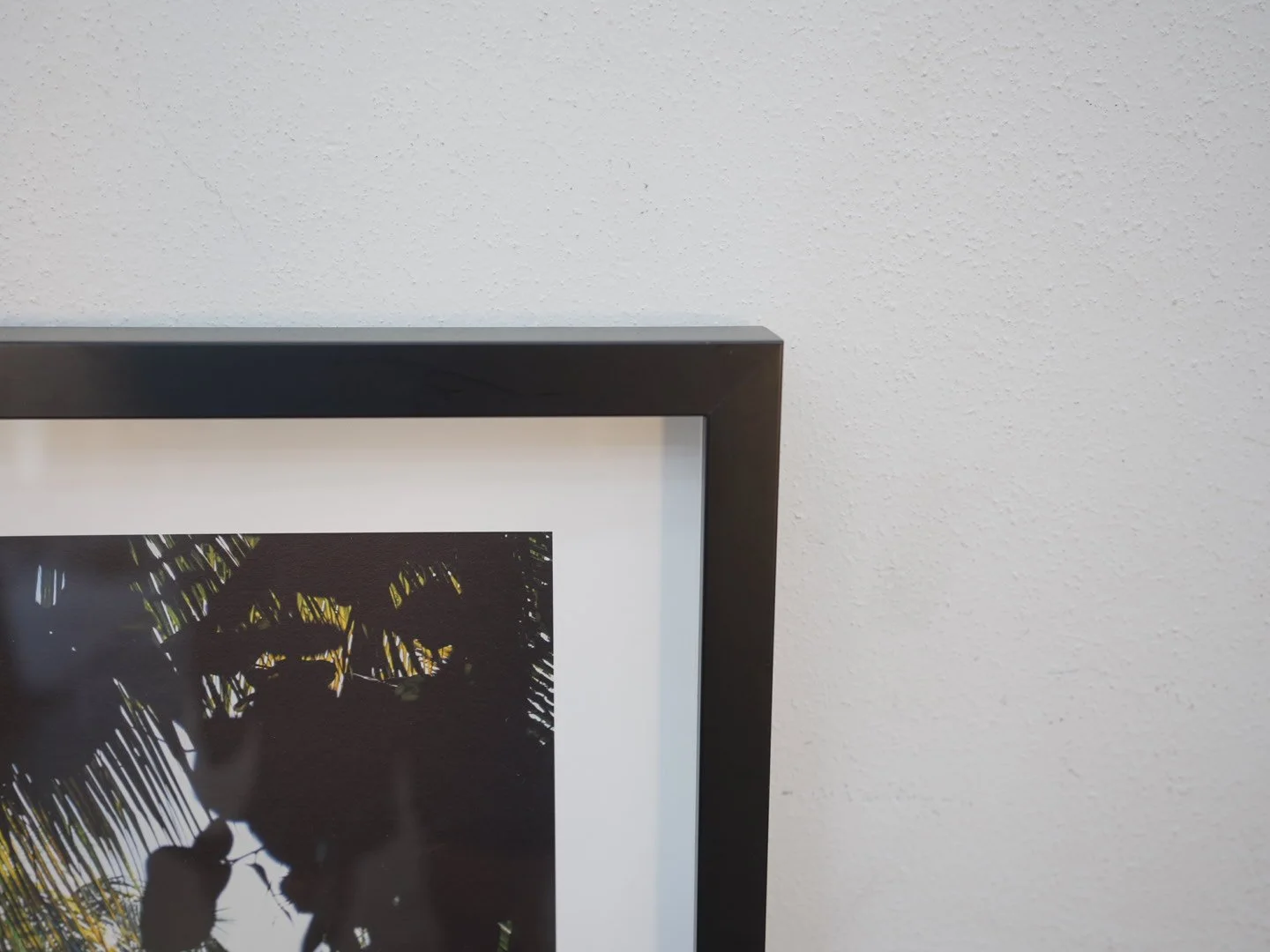 Photo Apr 23 2026, 3 42 36 PM.jpg