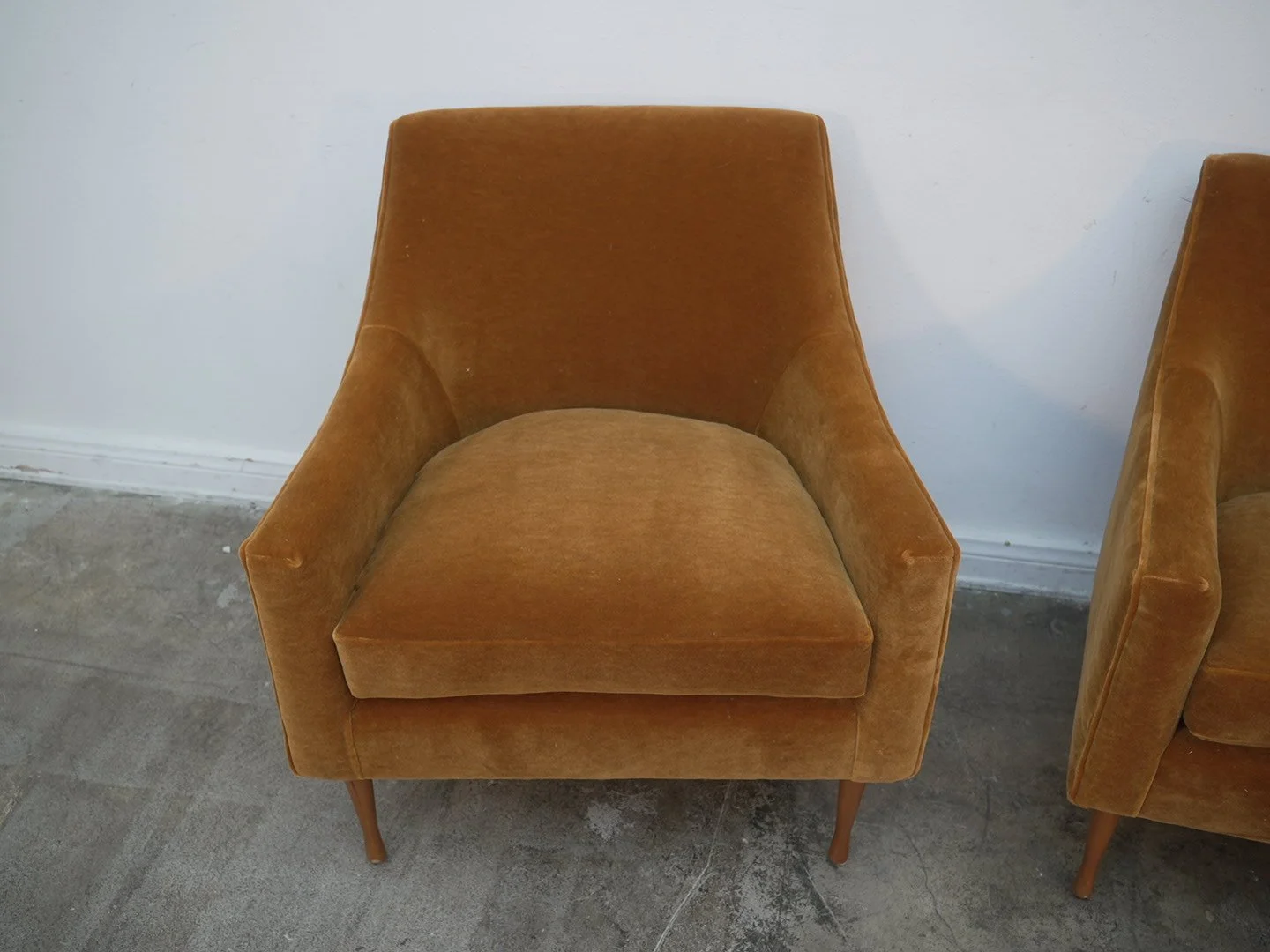 Photo Mar 05 2026, 5 24 50 PM.jpg