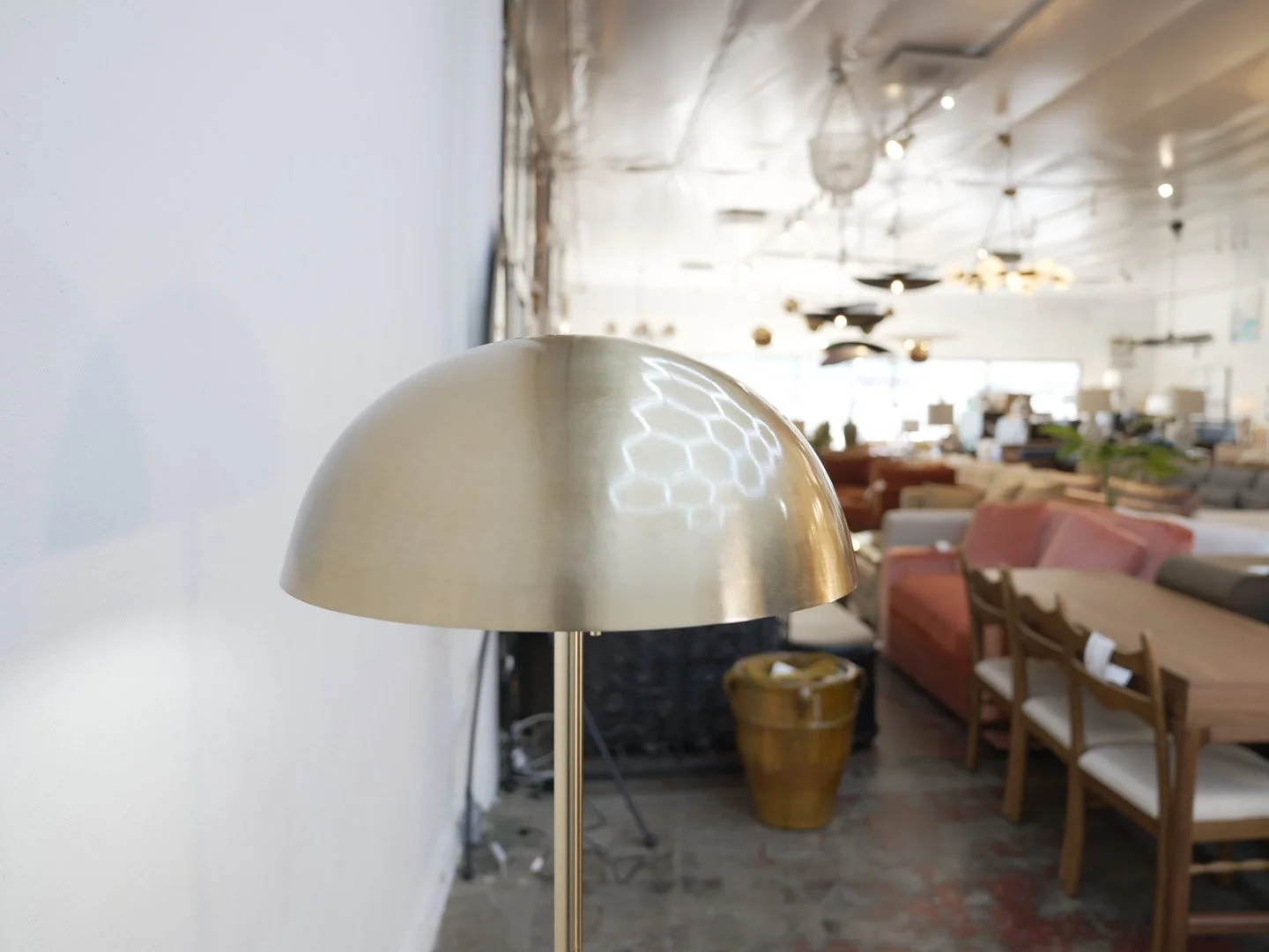 Photo Feb 03 2026, 4 42 12 PM.jpg