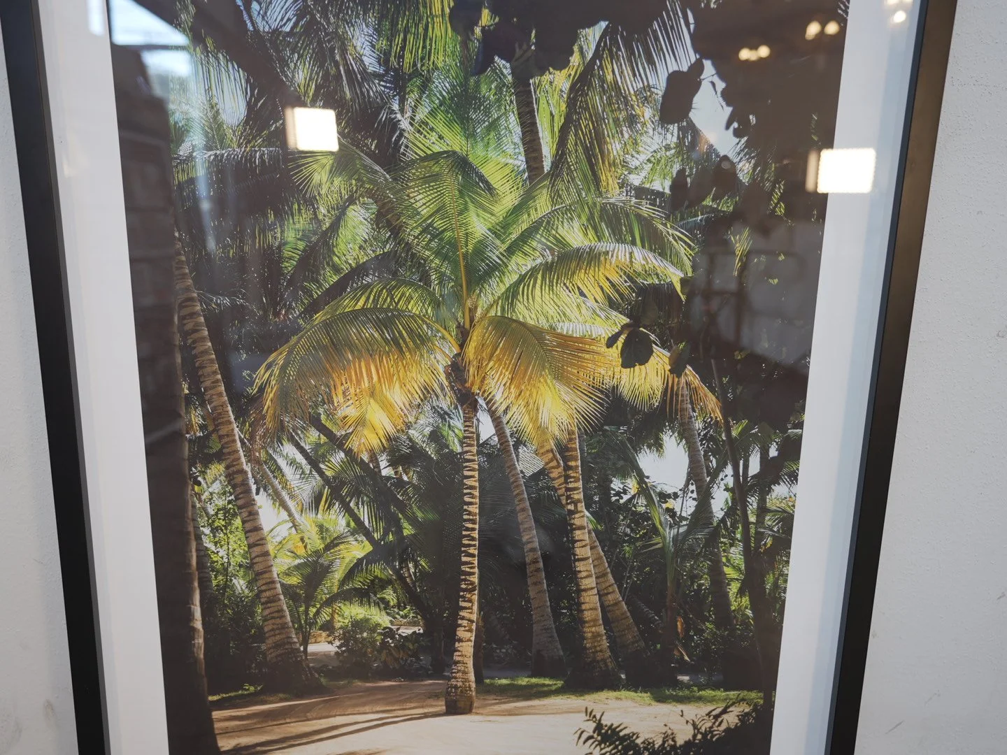 Photo Apr 23 2026, 3 42 26 PM.jpg