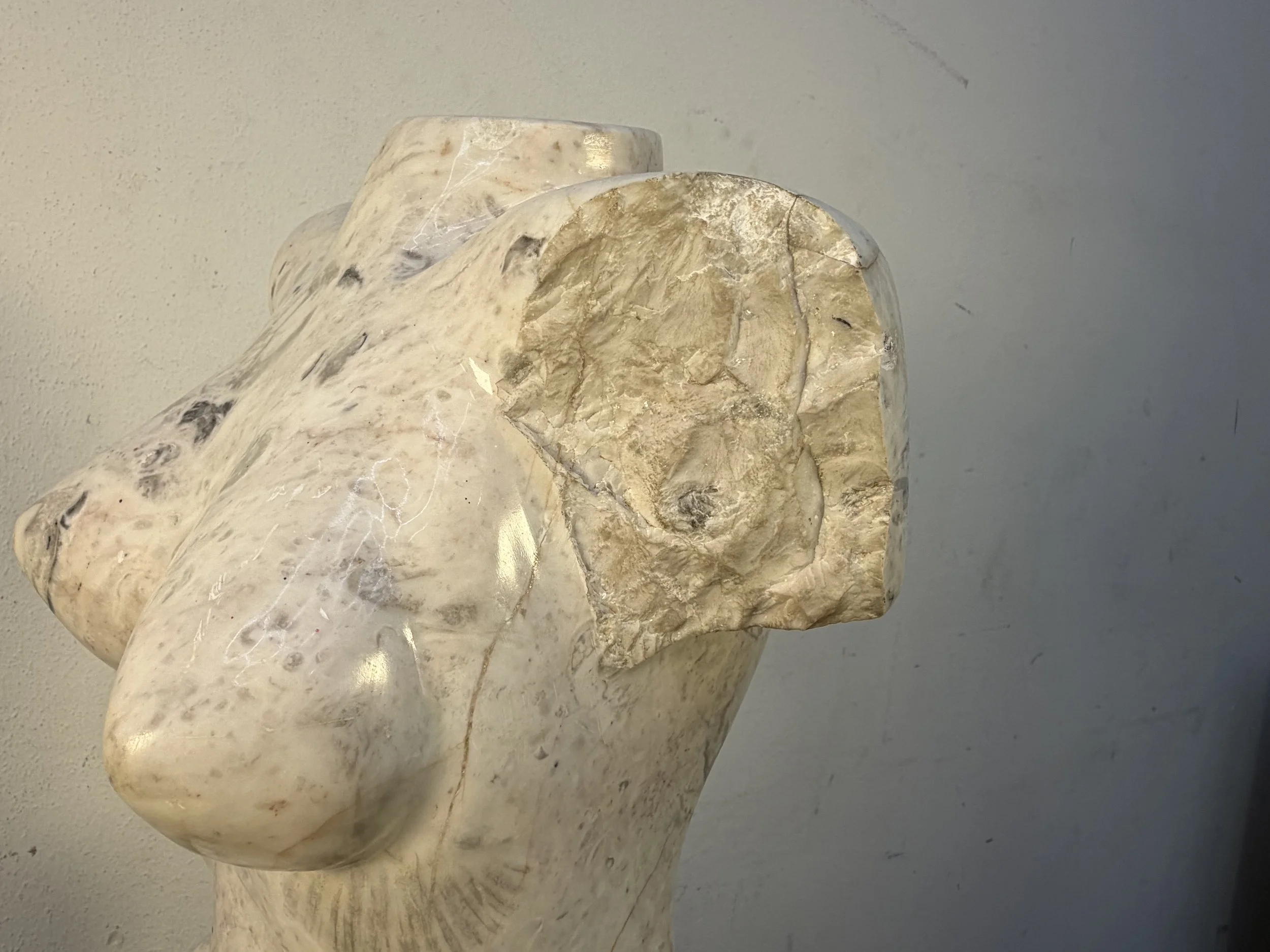 Photo Jan 17 2026, 2 10 06 PM.jpg