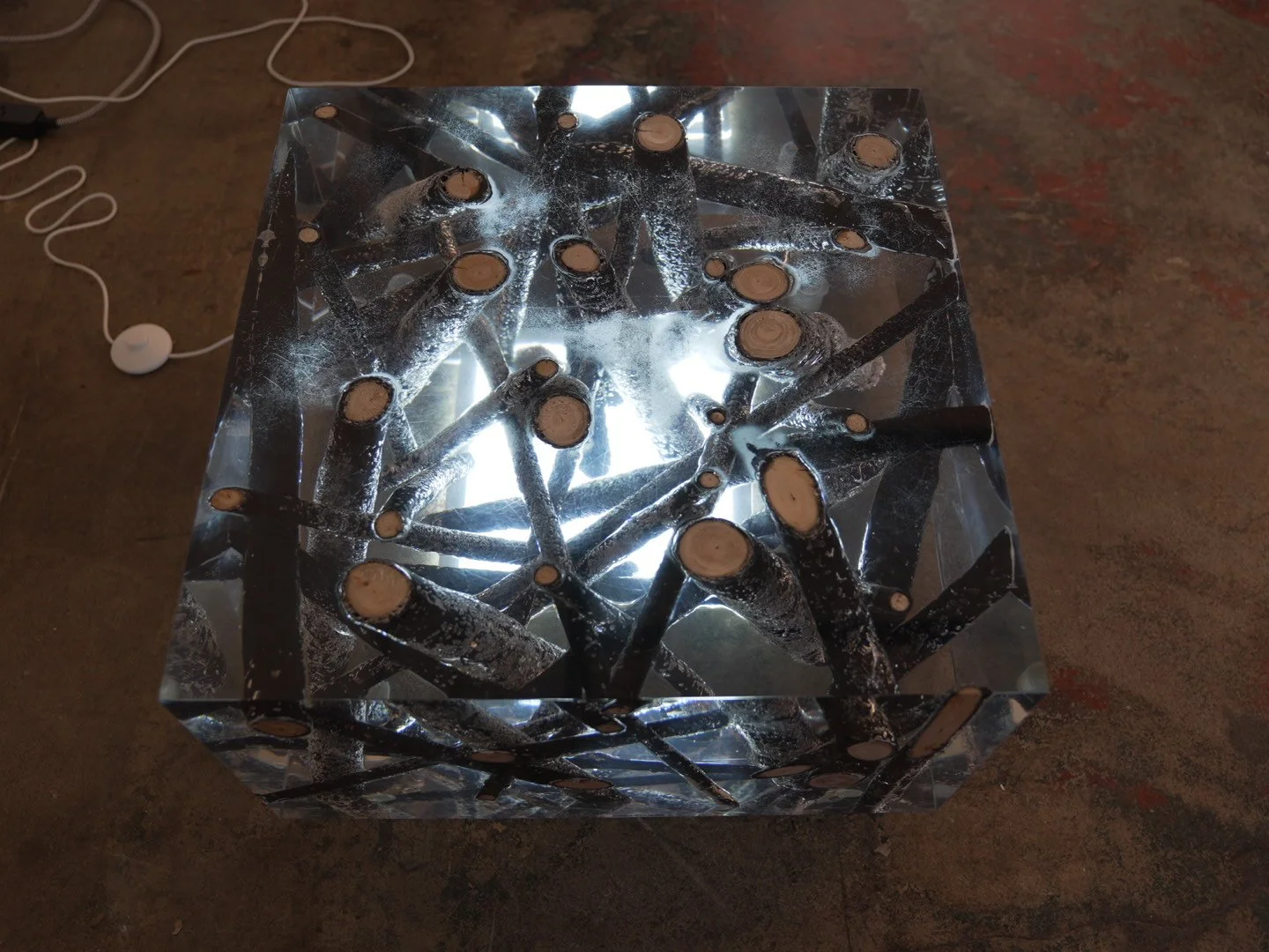 Photo Feb 08 2026, 12 20 28 PM.jpg