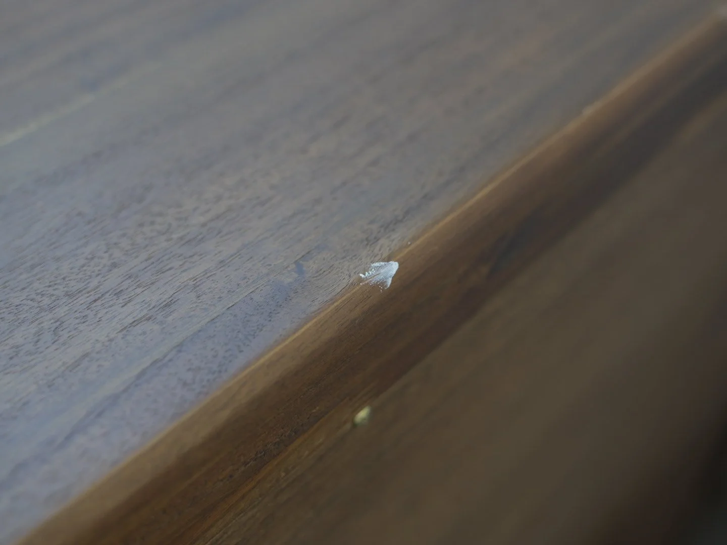 Photo Dec 29 2025, 5 11 35 PM.jpg