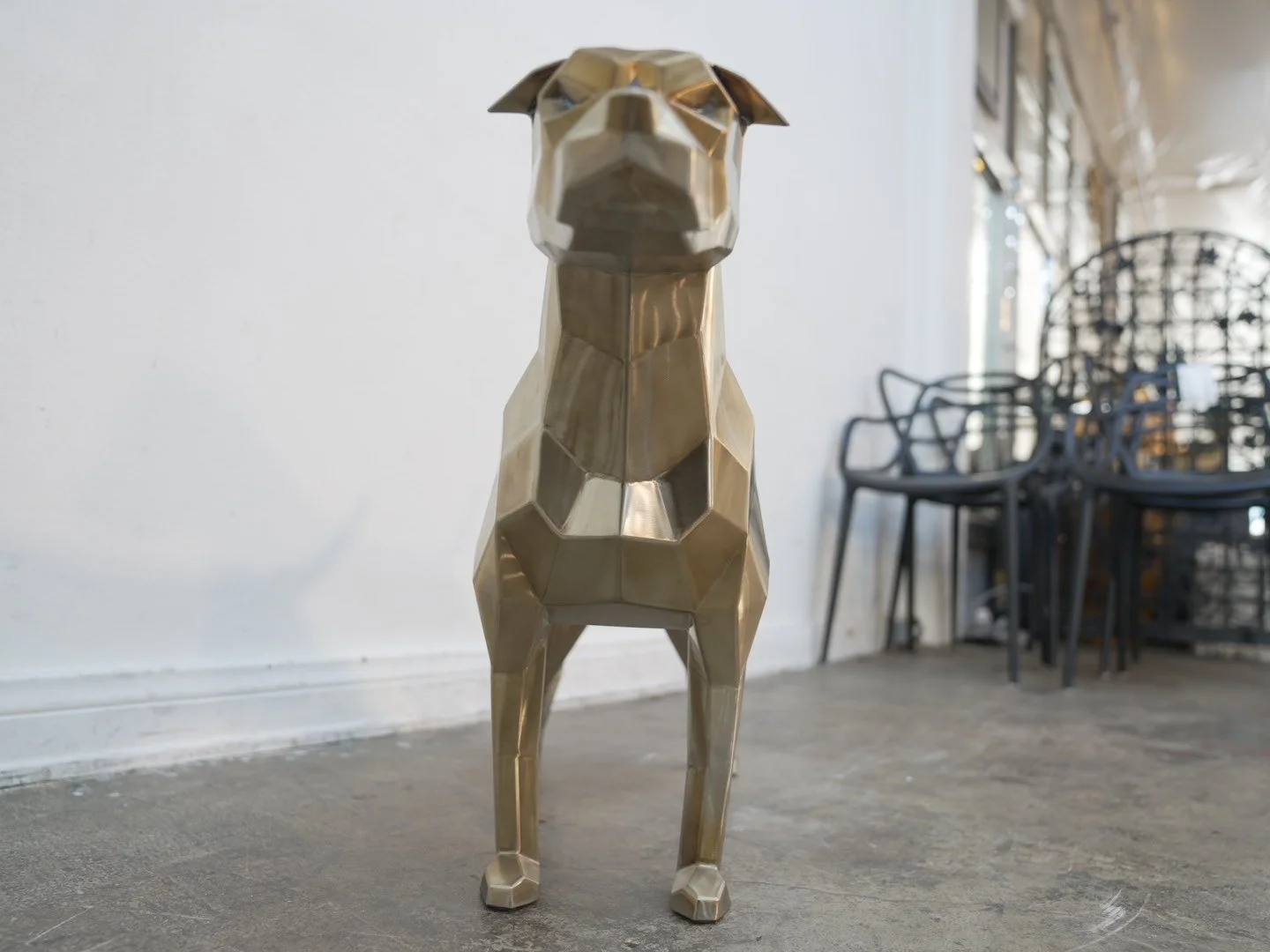 Photo Feb 08 2026, 11 58 19 AM.jpg