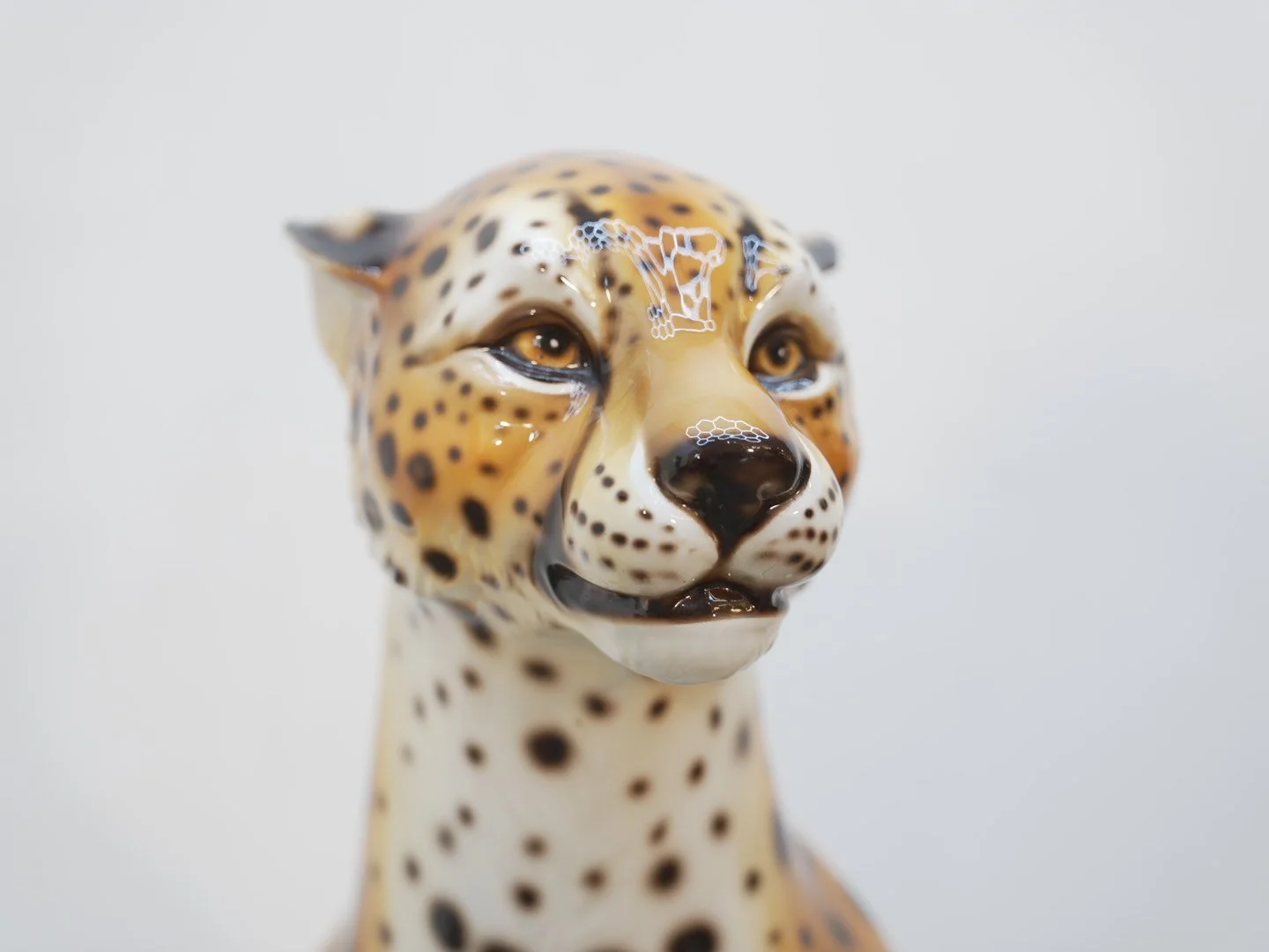 Photo Jan 31 2026, 6 07 07 PM.jpg