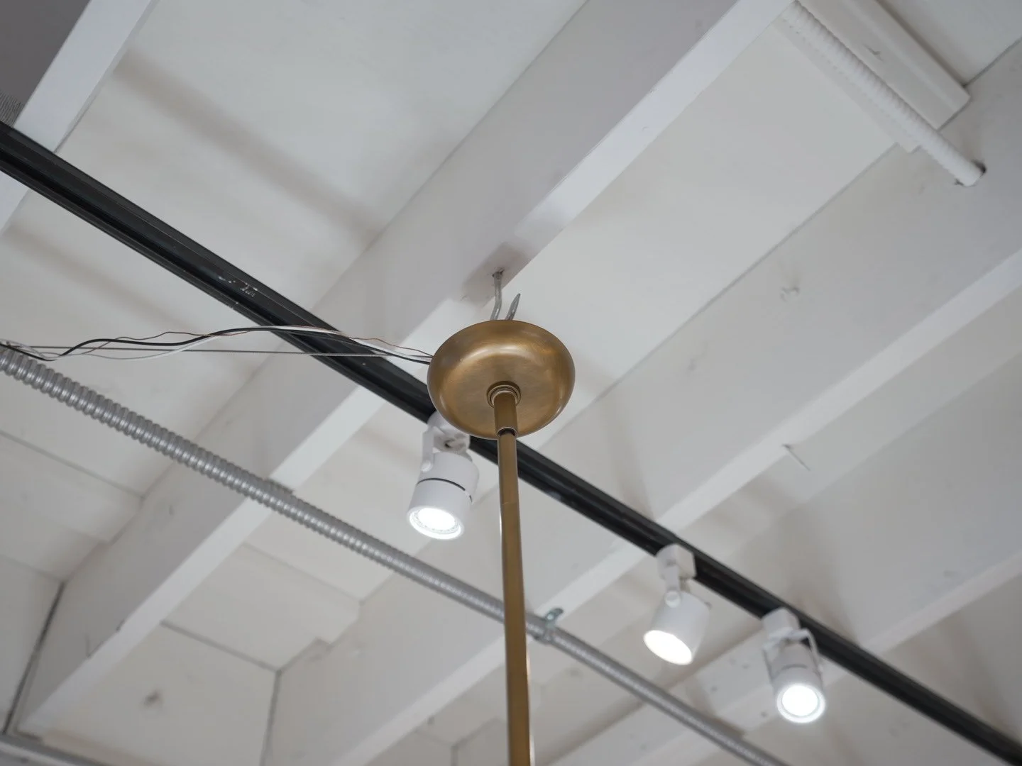 Photo Mar 13 2026, 11 18 19 AM.jpg