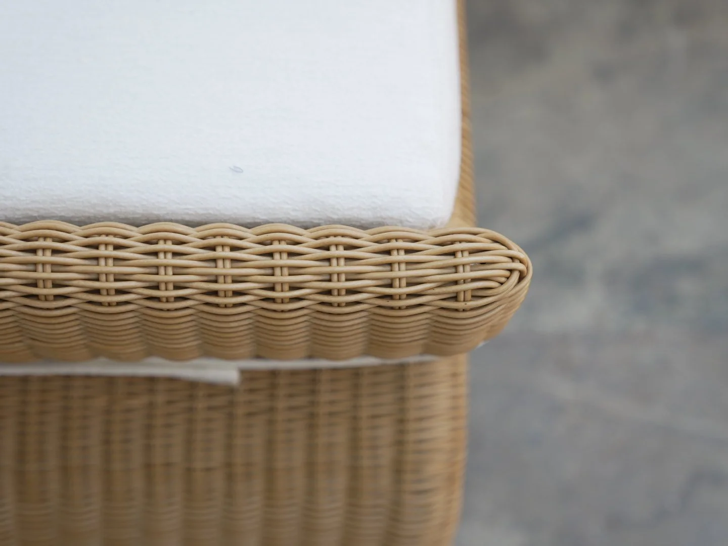 Photo Feb 10 2026, 1 08 26 PM.jpg