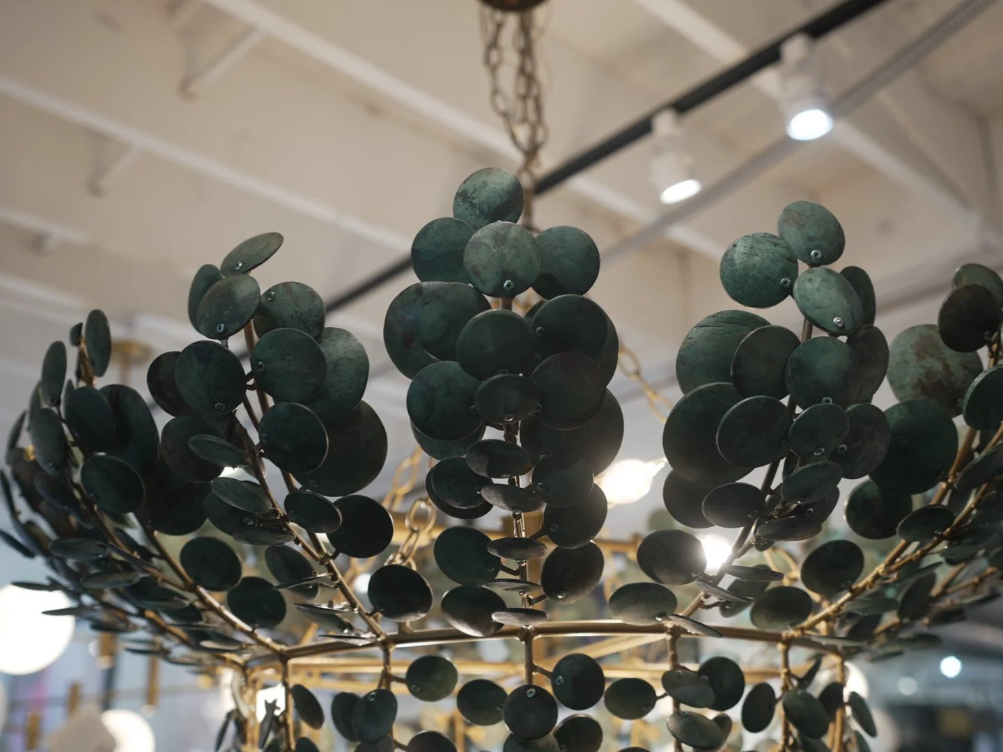 Photo Mar 28 2026, 1 59 09 PM.jpg