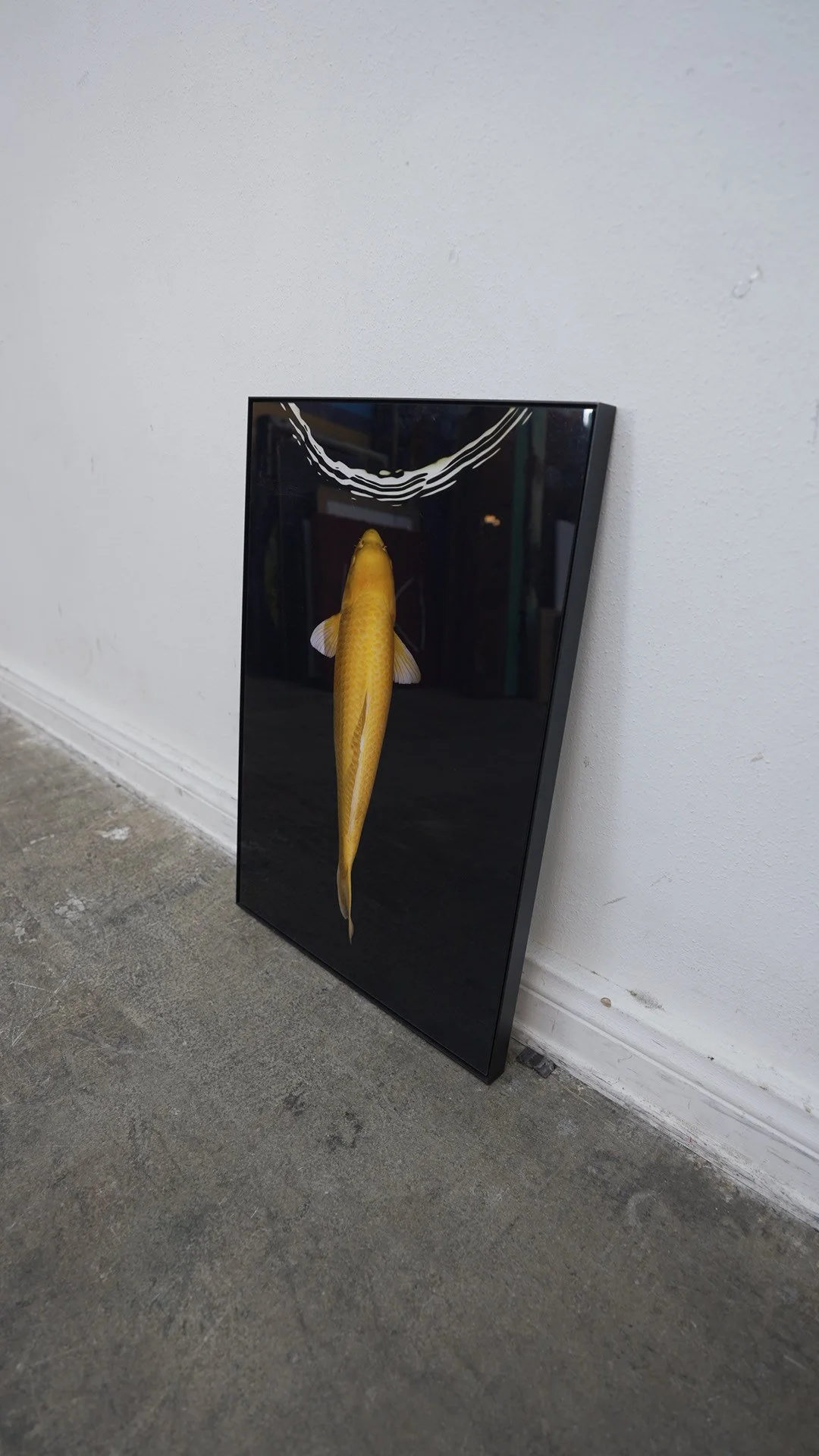 Photo Apr 23 2026, 4 34 29 PM.jpg