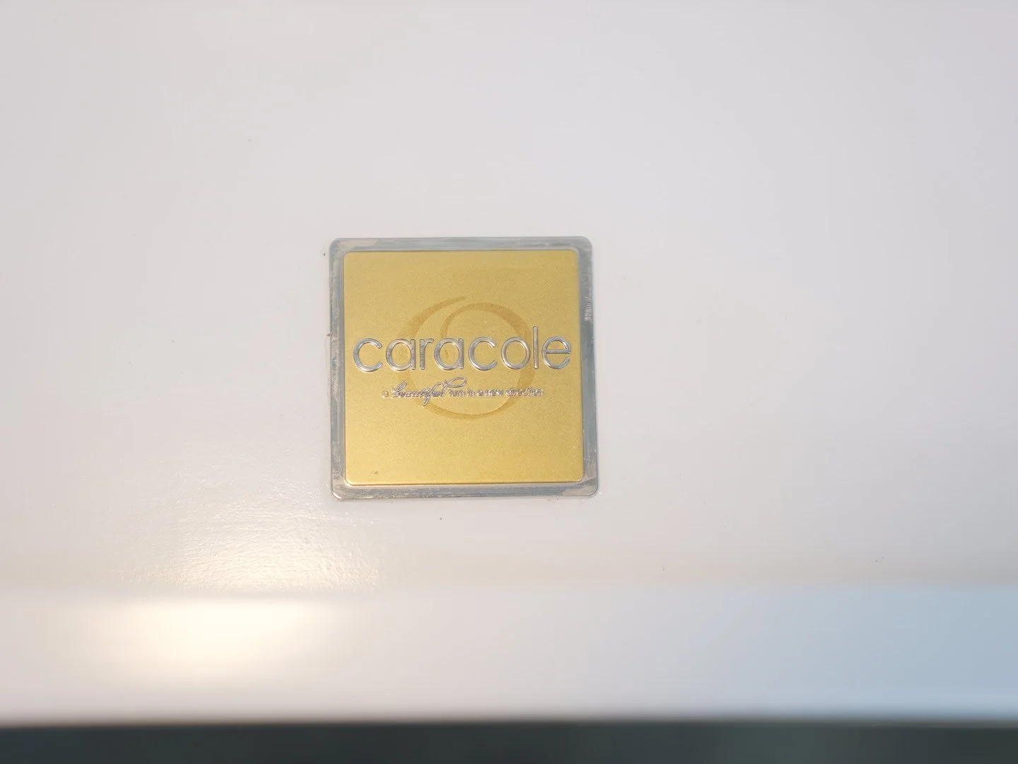 Photo Feb 22 2026, 2 18 38 PM.jpg