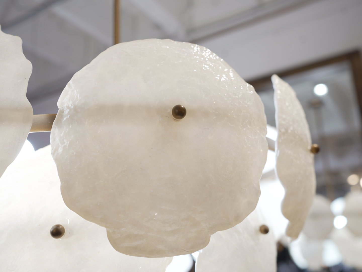 Photo Mar 13 2026, 11 18 08 AM.jpg