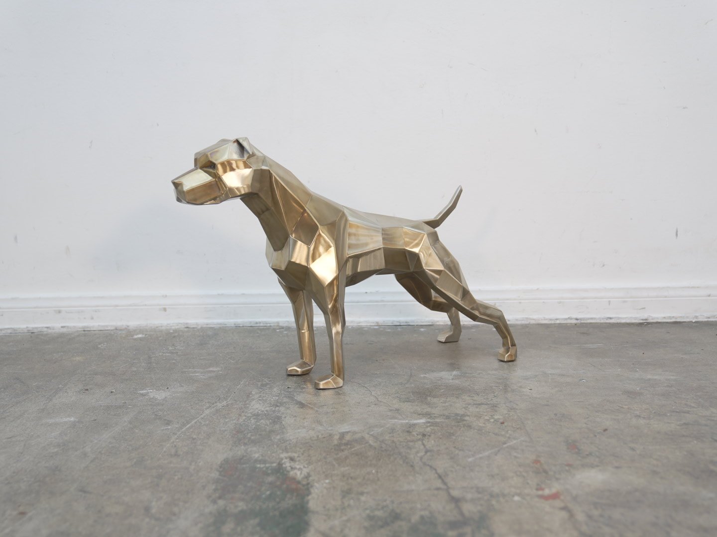 Photo Feb 08 2026, 11 56 59 AM.jpg