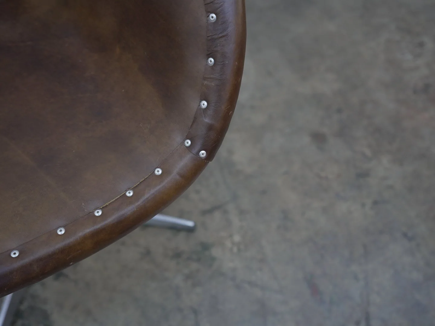 Photo Mar 13 2026, 1 57 21 PM.jpg