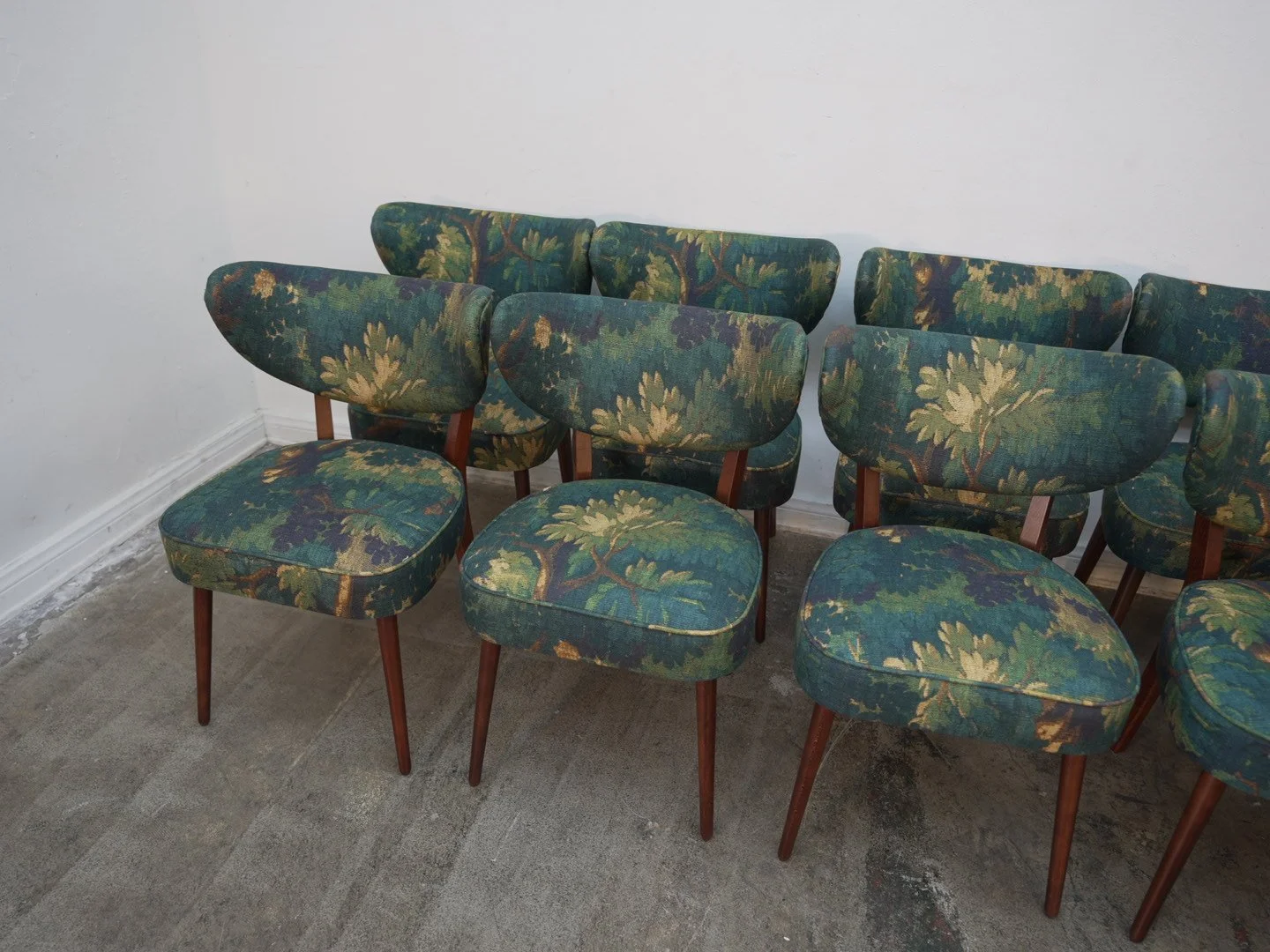 Photo Mar 24 2026, 3 06 40 PM.jpg