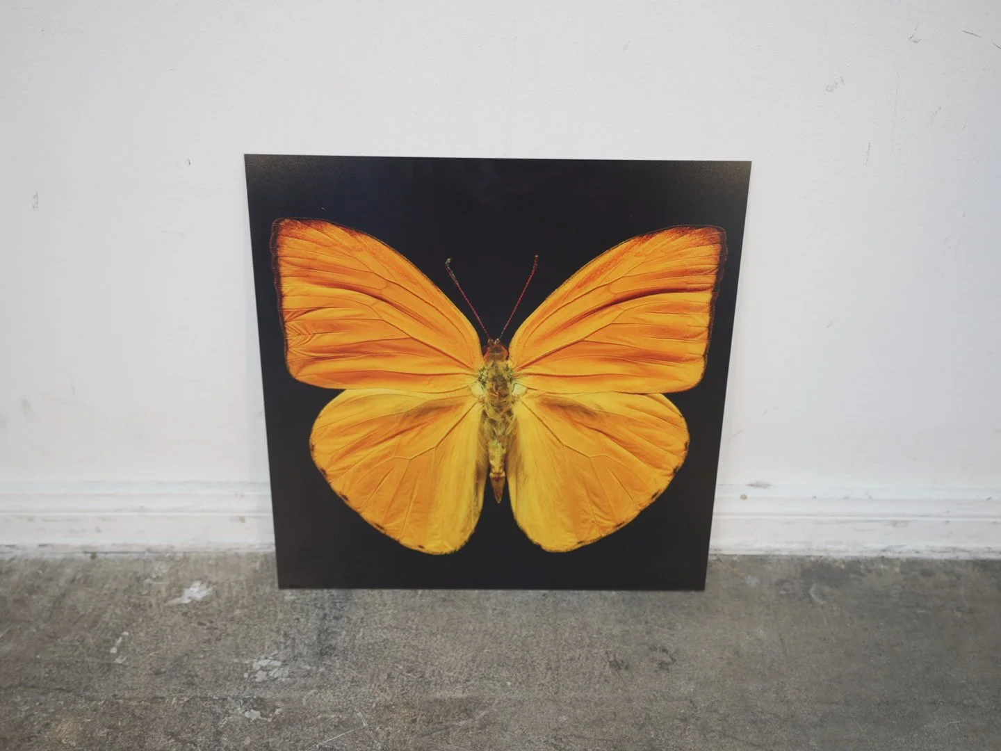 Photo Apr 23 2026, 12 21 06 PM.jpg