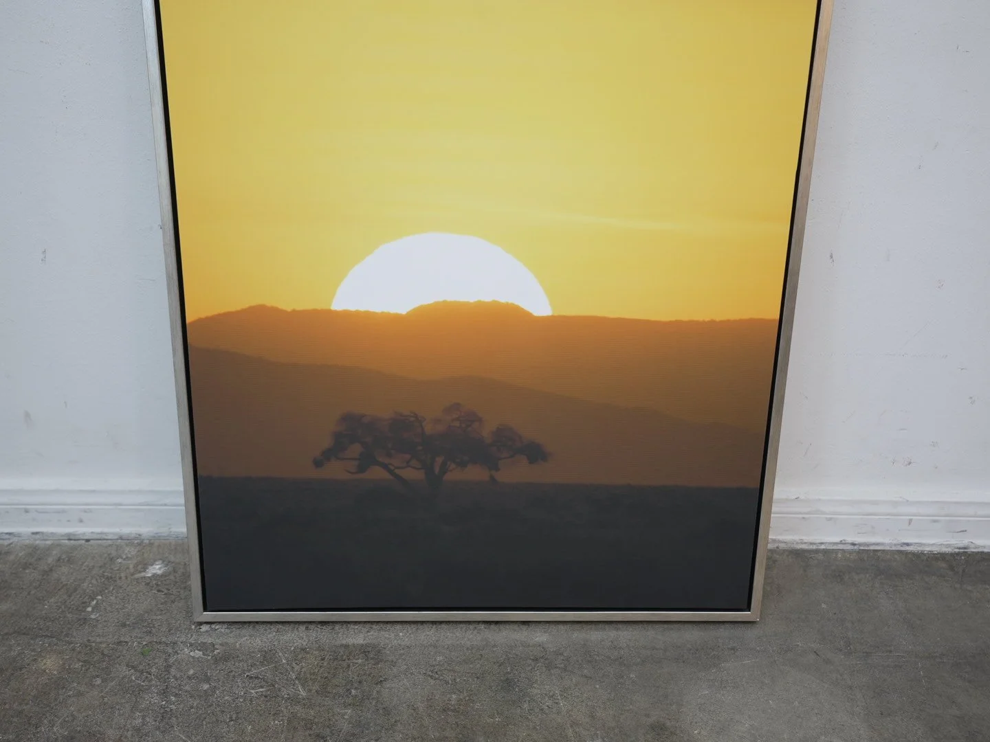 Photo Mar 26 2026, 1 15 52 PM.jpg