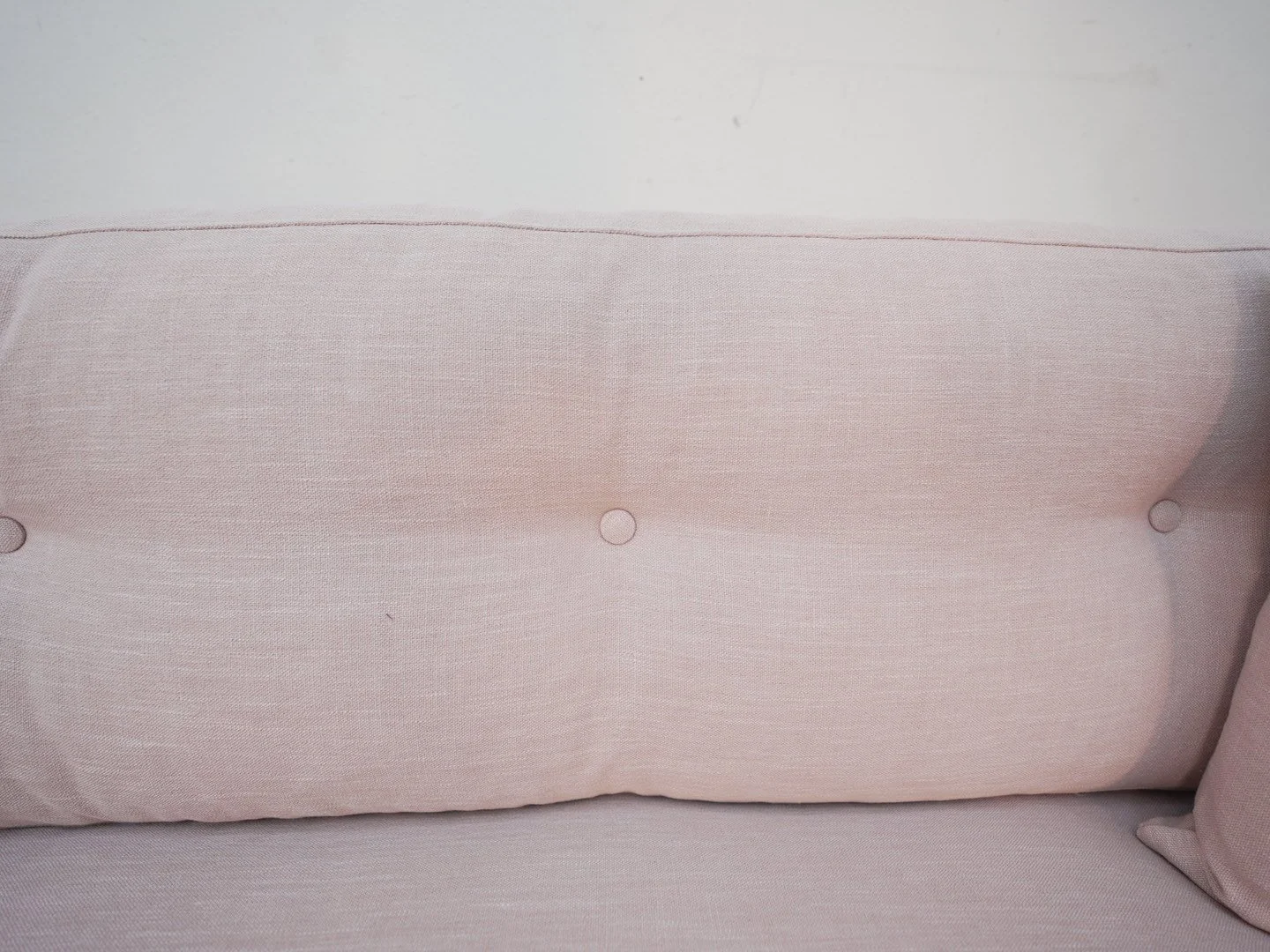 Photo Apr 25 2026, 11 20 43 AM.jpg