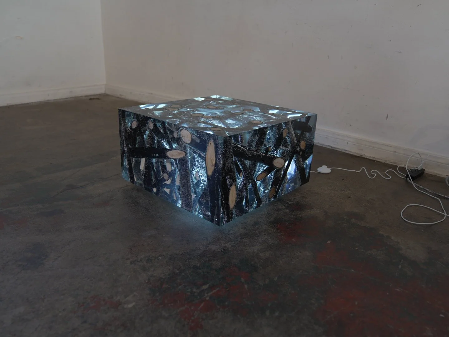 Photo Feb 08 2026, 12 18 54 PM.jpg