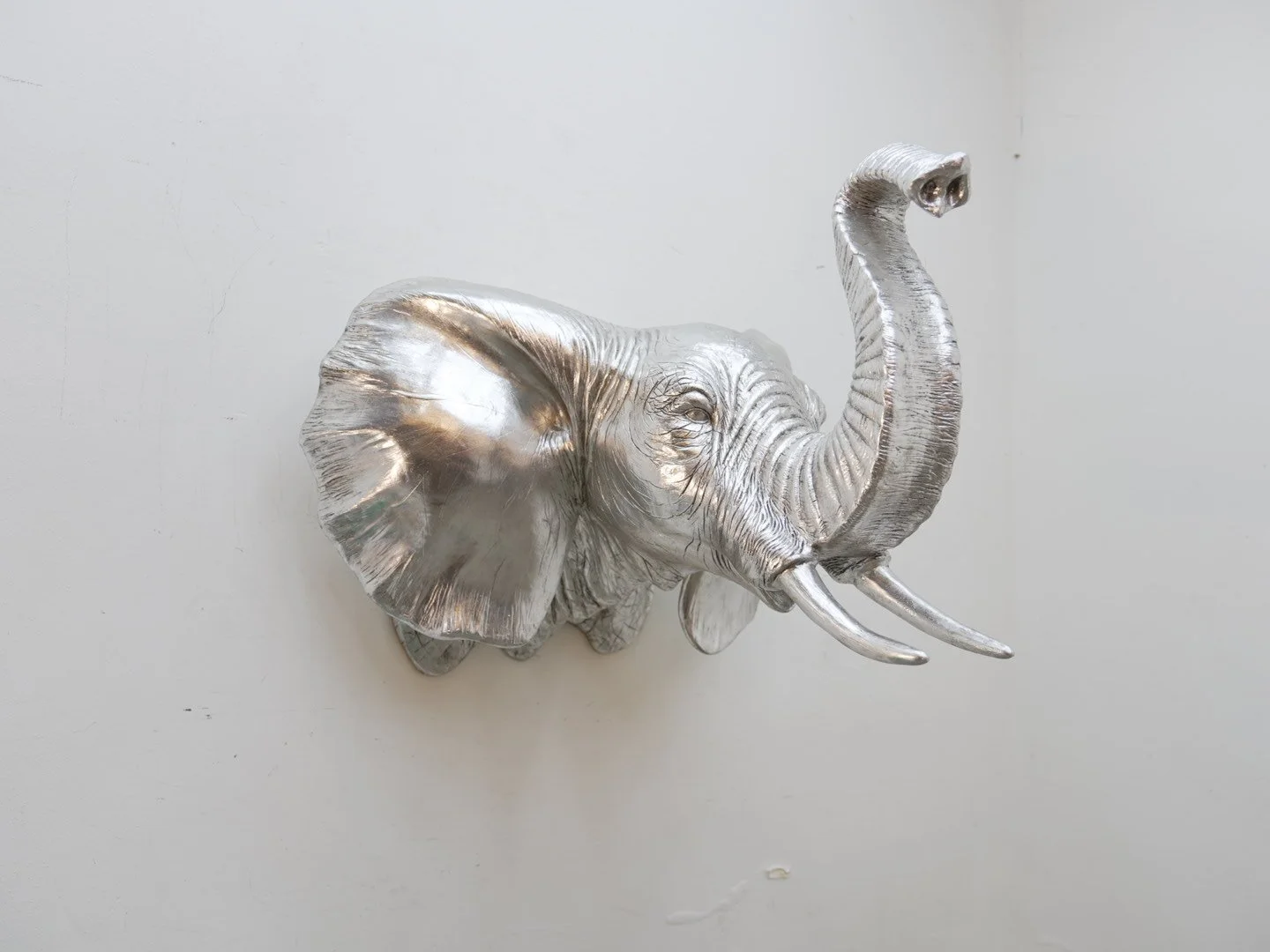 Photo Feb 12 2026, 6 19 30 PM.jpg