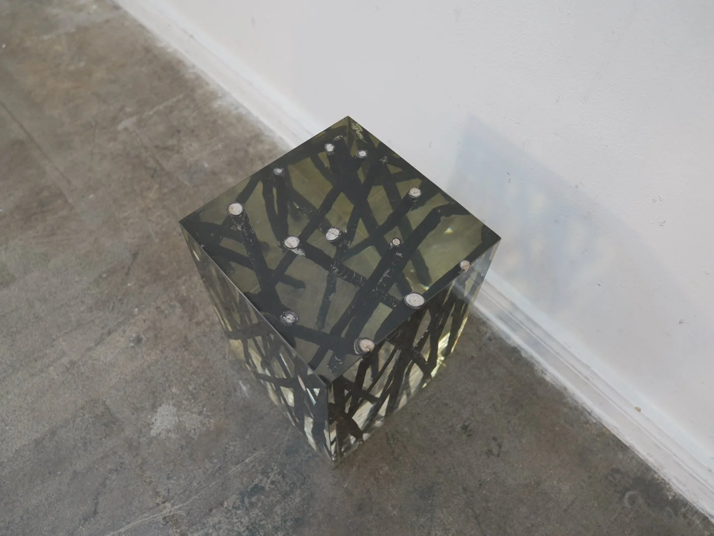 Photo Jan 30 2026, 2 31 28 PM.jpg