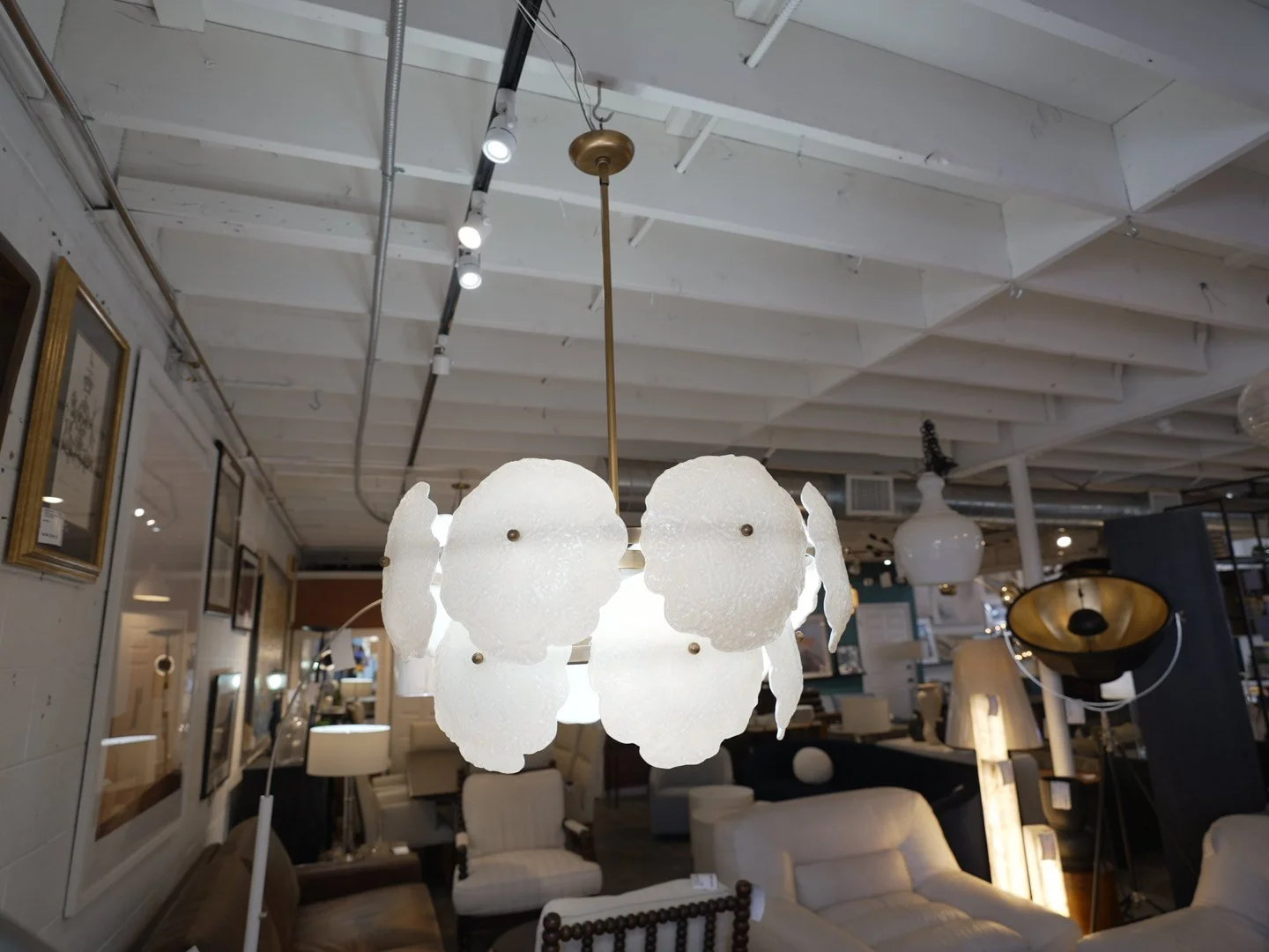 Photo Mar 13 2026, 11 18 42 AM.jpg