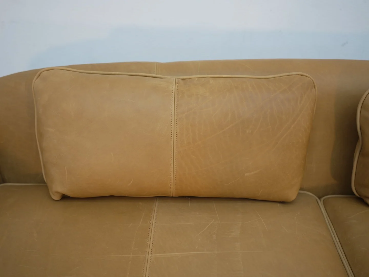 Photo Mar 24 2026, 1 03 56 PM.jpg