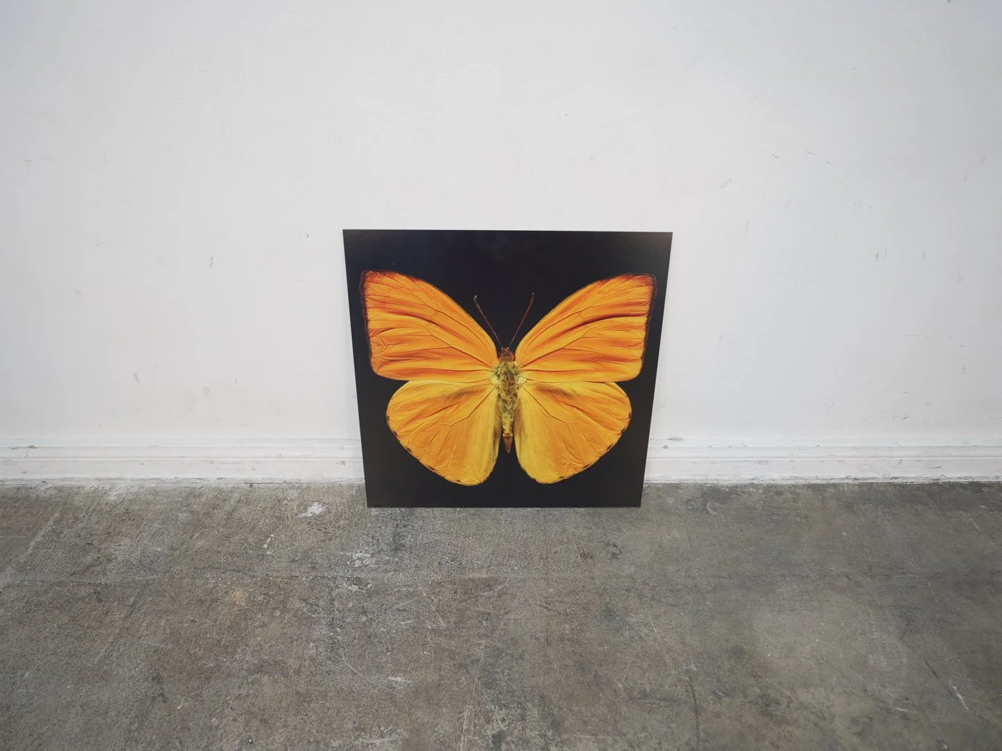 Photo Apr 23 2026, 12 21 00 PM.jpg