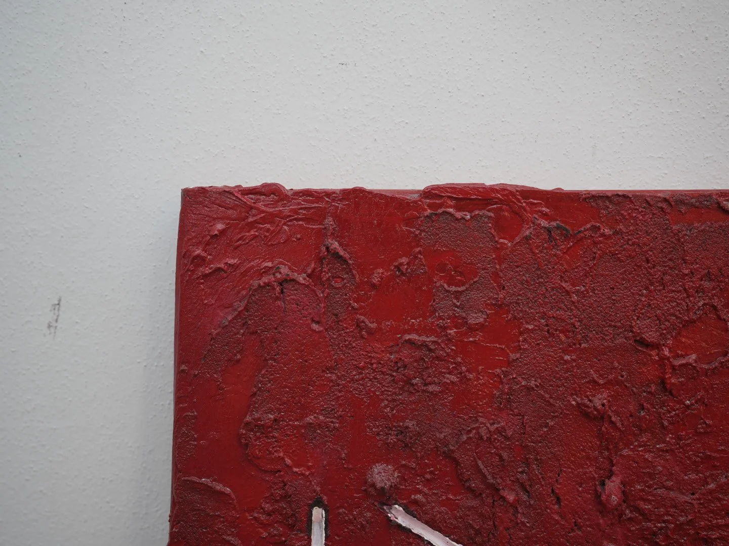 Photo Apr 23 2026, 4 31 01 PM.jpg