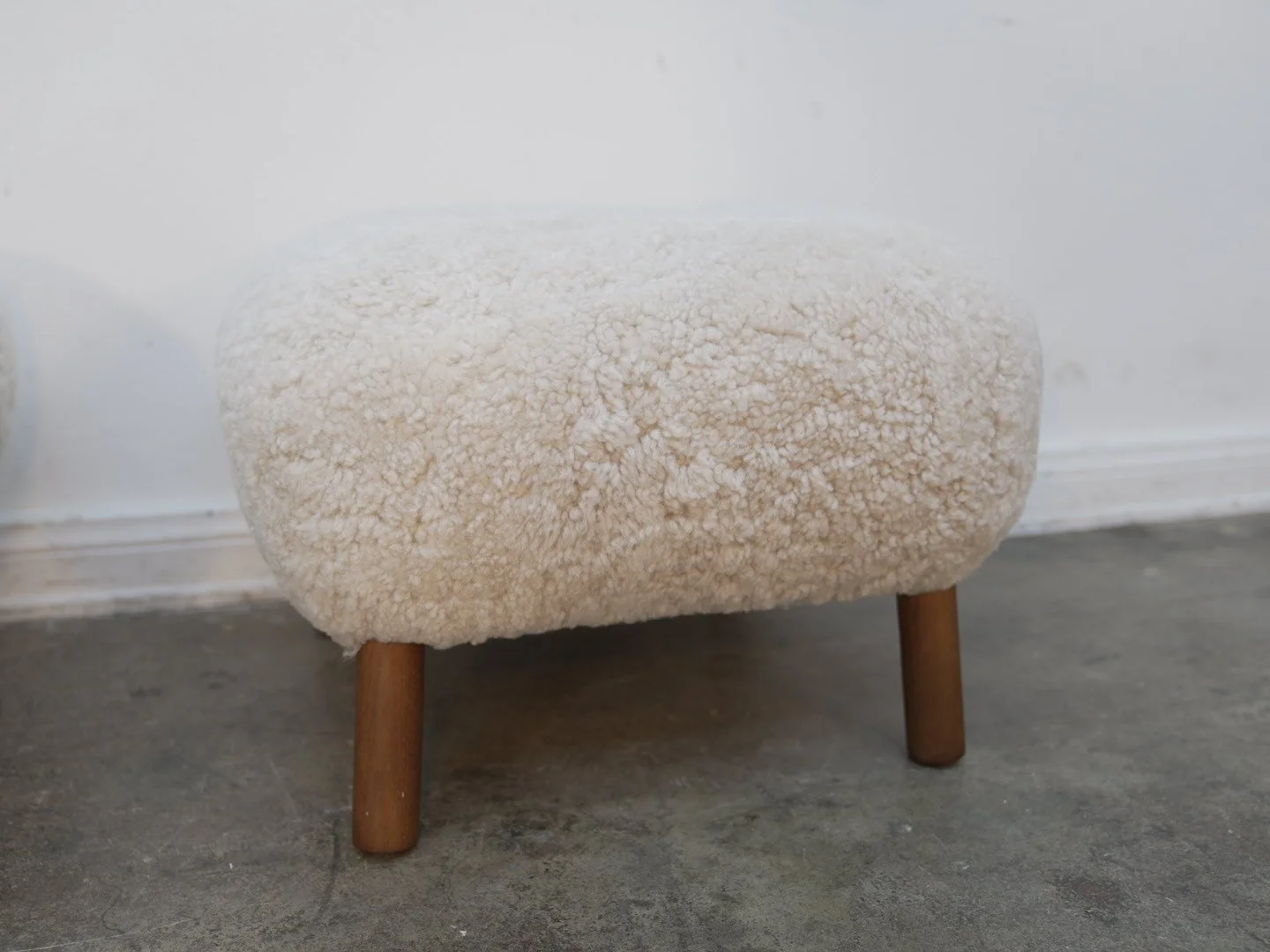 Photo Feb 24 2026, 3 15 13 PM.jpg