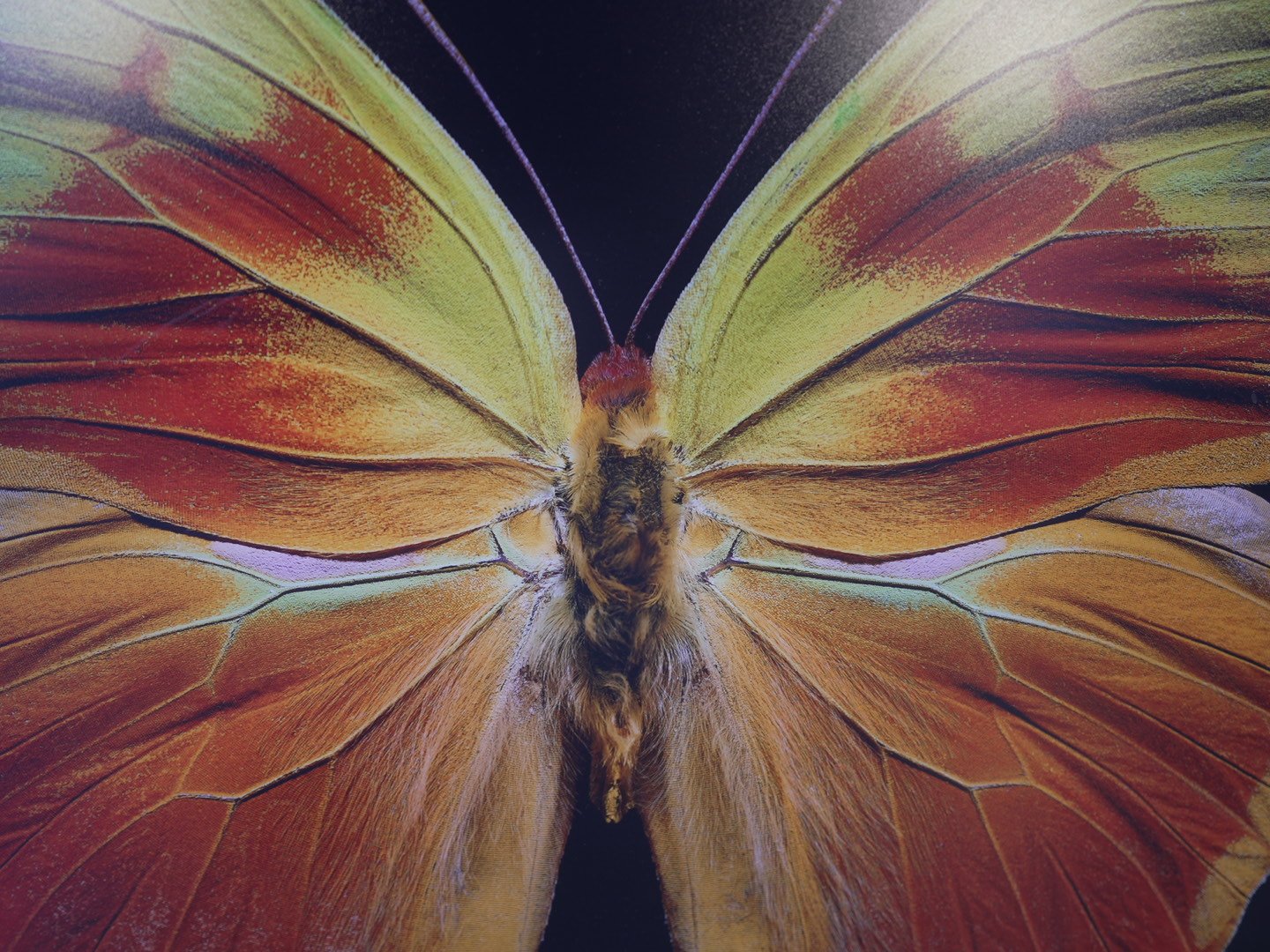 Photo Apr 23 2026, 12 41 30 PM.jpg