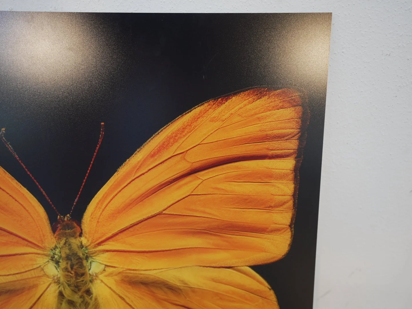 Photo Apr 23 2026, 12 21 26 PM.jpg