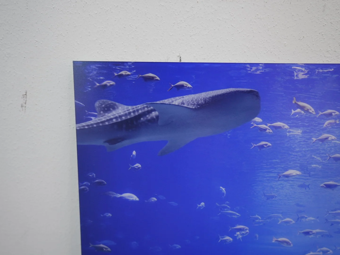 Photo Apr 23 2026, 12 18 00 PM.jpg