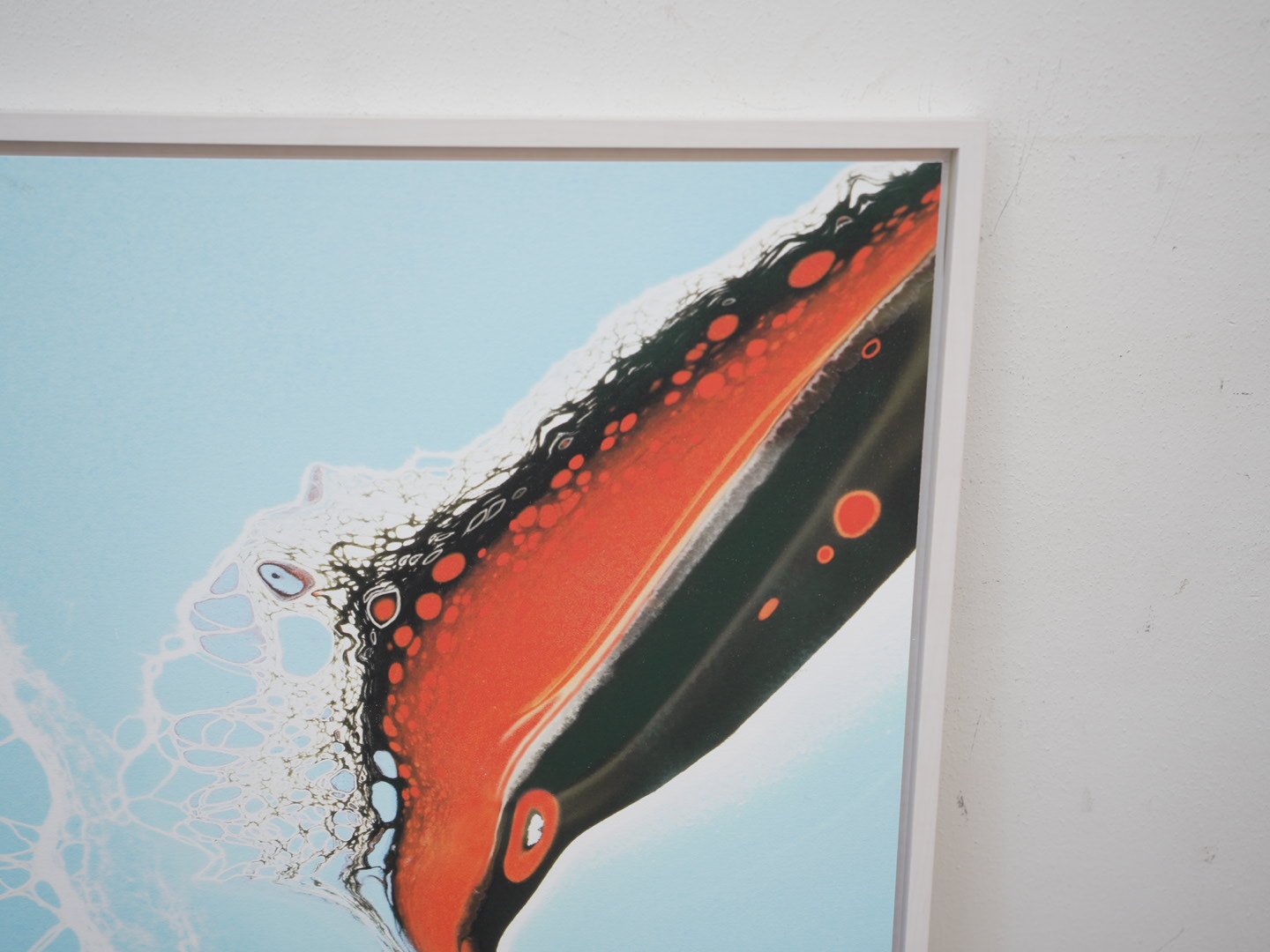 Photo Mar 26 2026, 1 09 12 PM.jpg