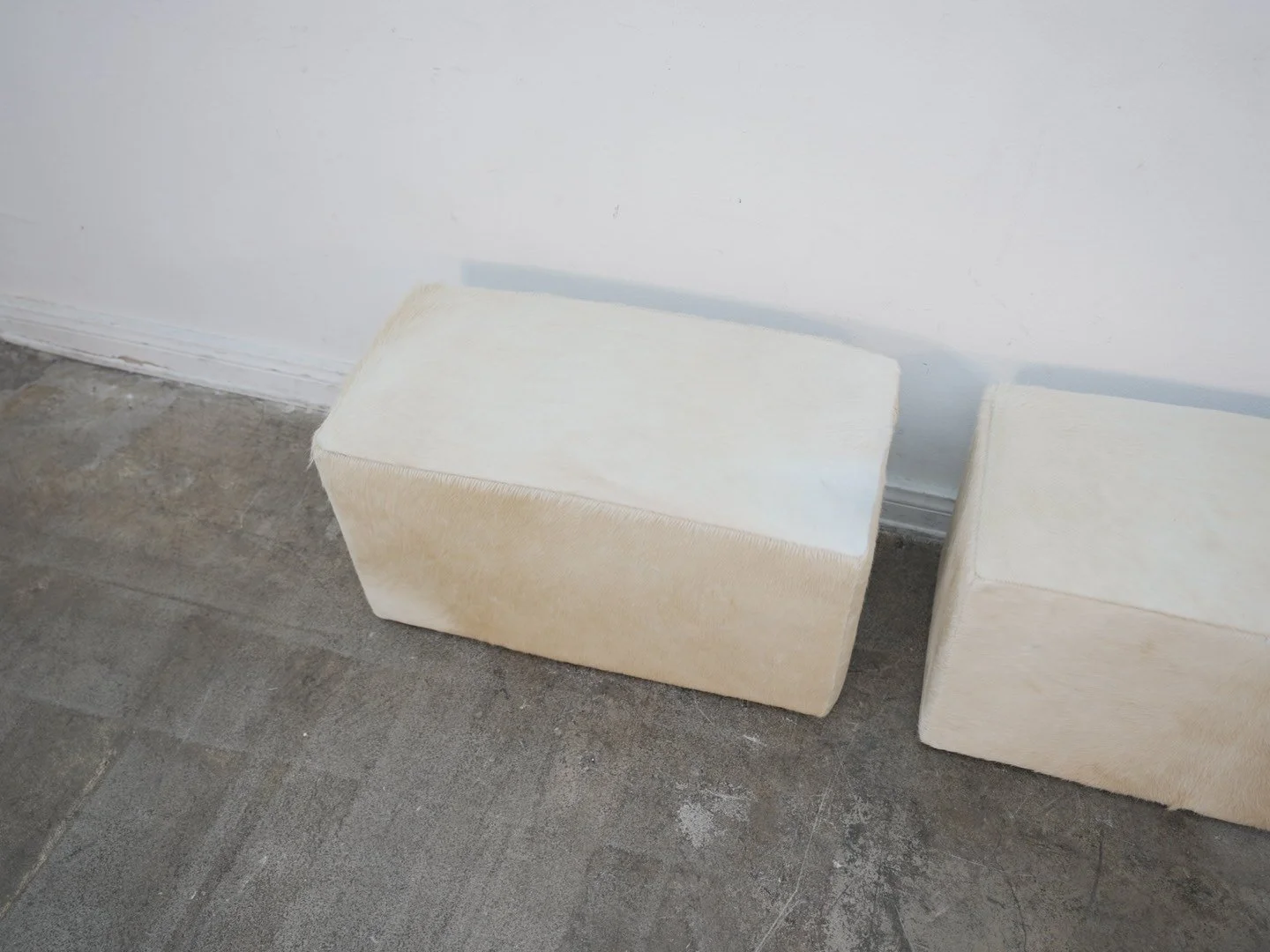 Photo Apr 21 2026, 1 35 35 PM.jpg