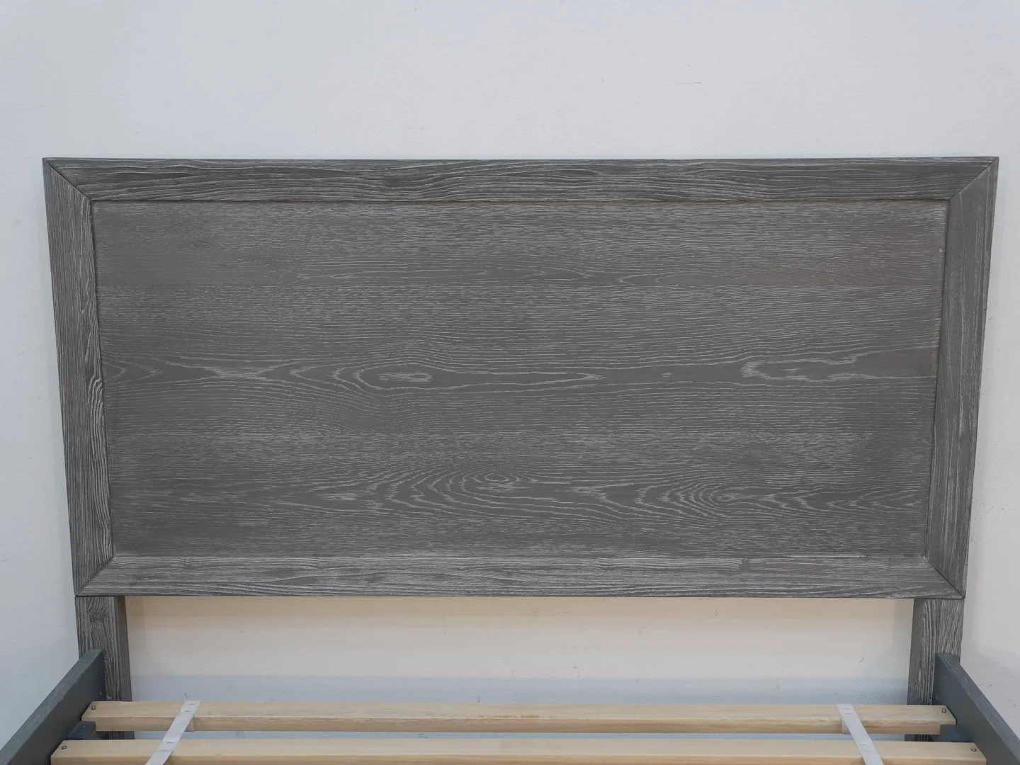 Photo Feb 19 2026, 4 48 30 PM.jpg