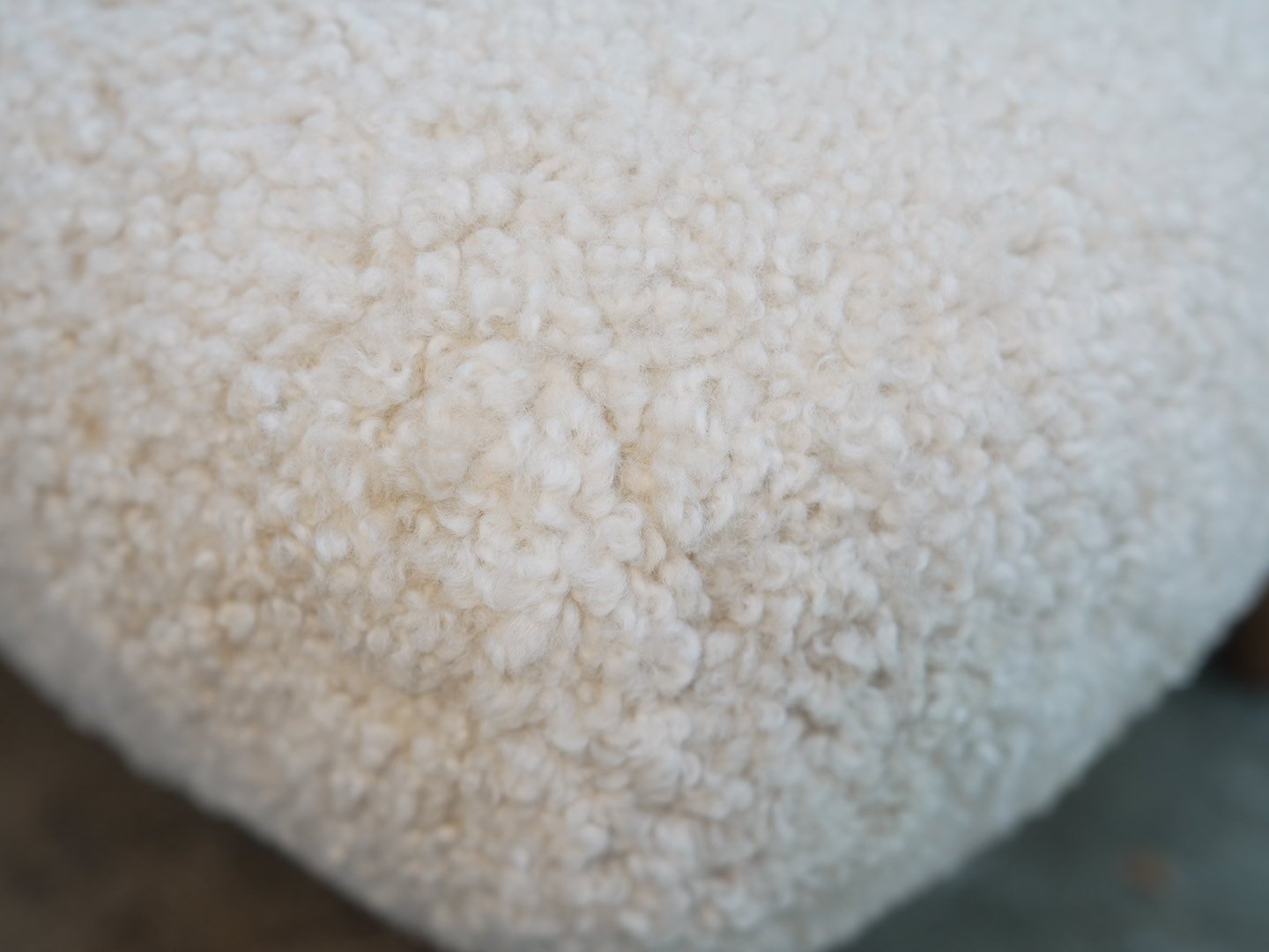 Photo Feb 24 2026, 3 14 30 PM.jpg