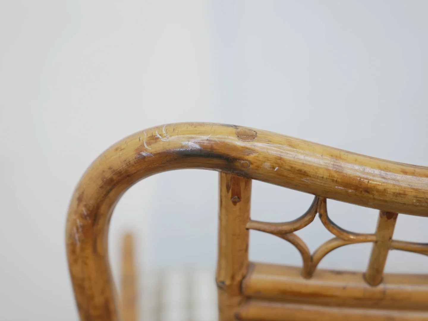 Photo Feb 13 2026, 2 47 50 PM.jpg