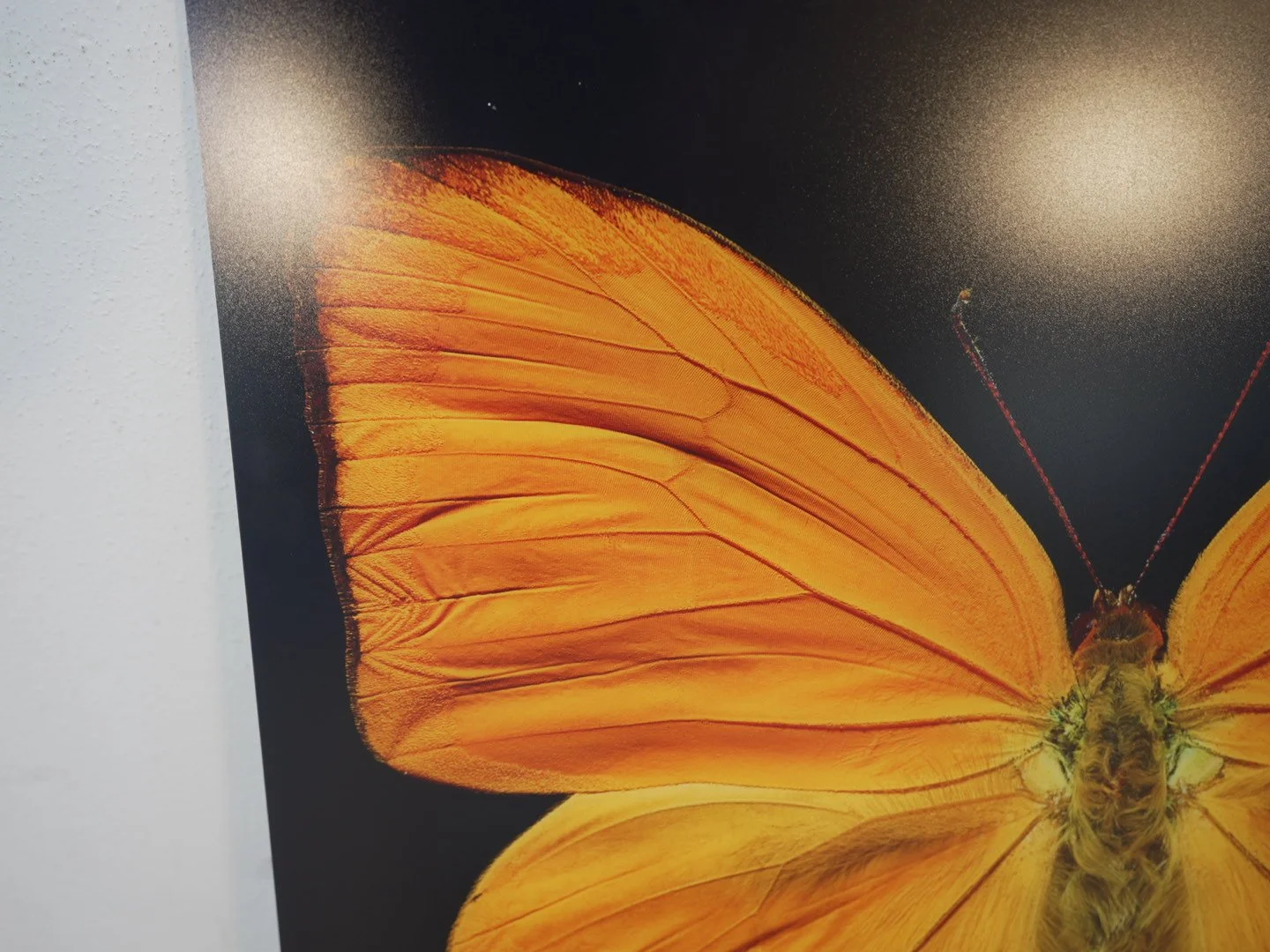 Photo Apr 23 2026, 12 21 12 PM.jpg