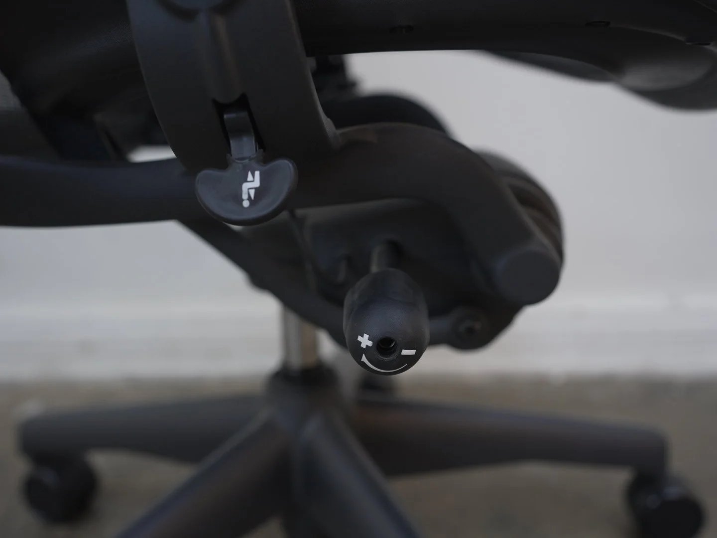 Photo Mar 13 2026, 1 52 31 PM.jpg