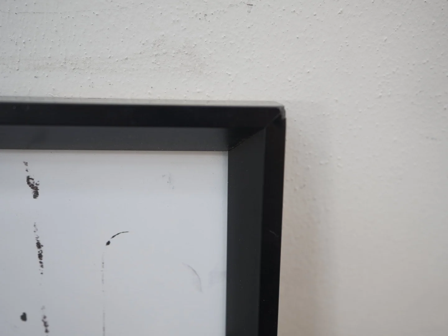 Photo Mar 19 2026, 12 10 43 PM.jpg