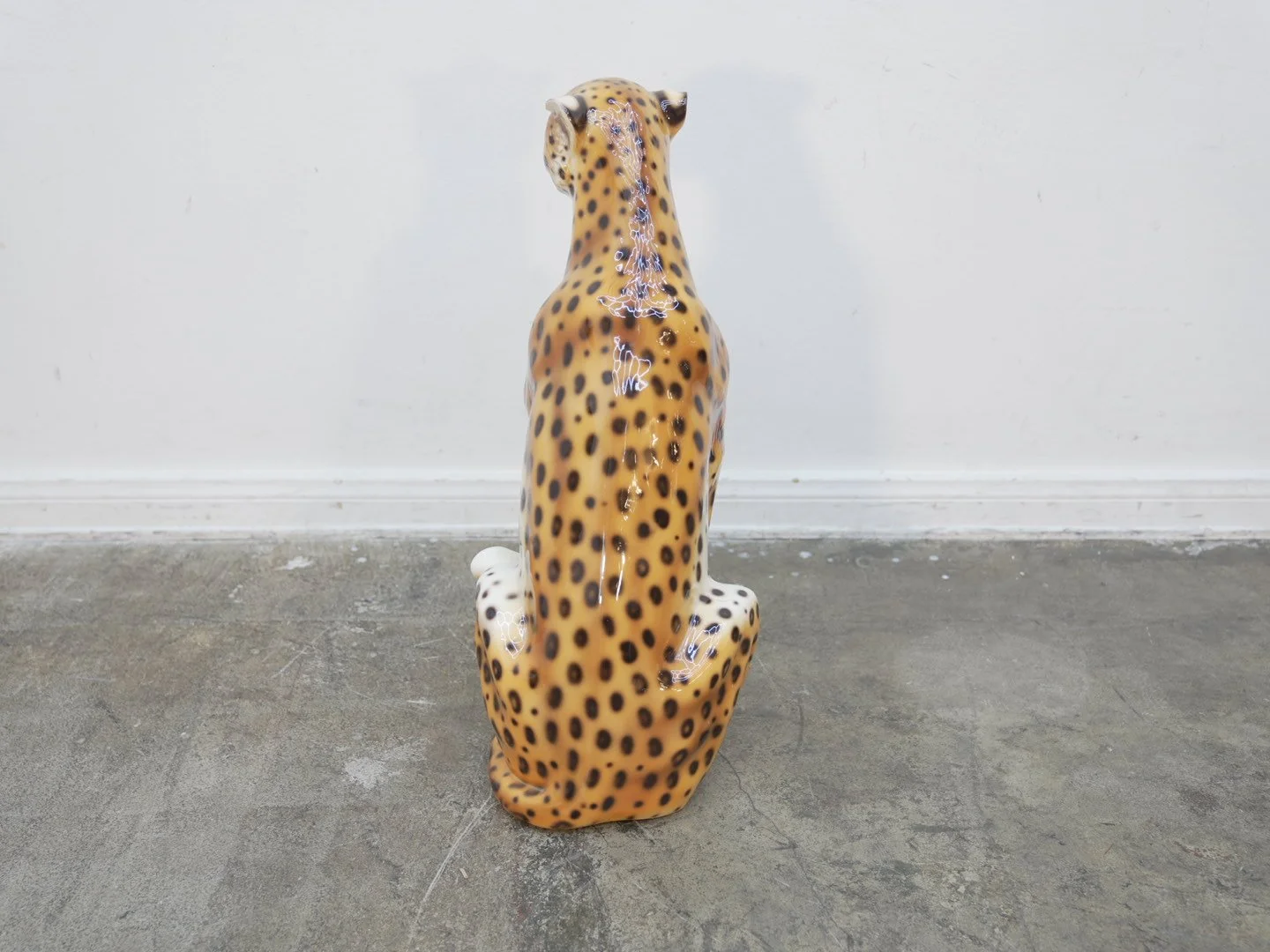 Photo Jan 31 2026, 6 07 51 PM.jpg