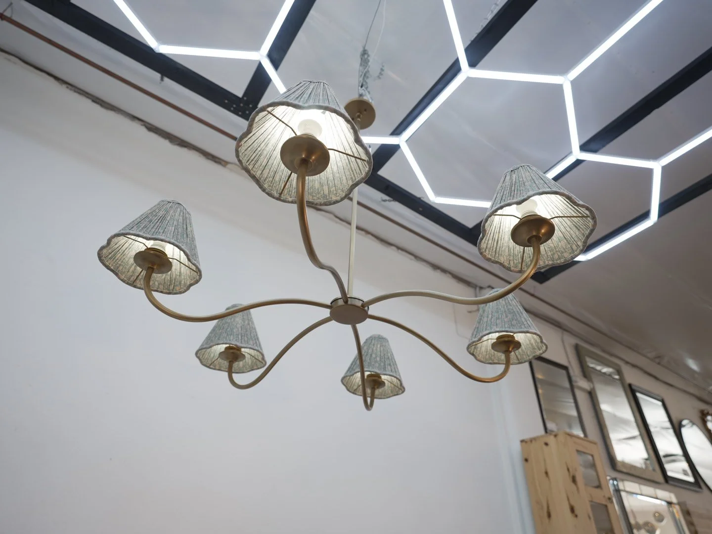 Photo Mar 12 2026, 2 00 39 PM.jpg