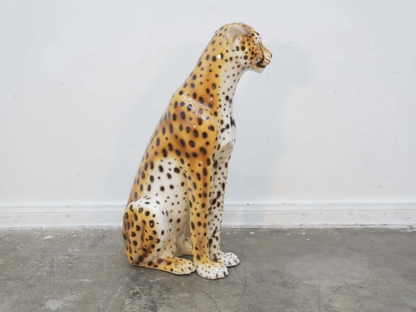 Photo Jan 31 2026, 6 07 26 PM.jpg