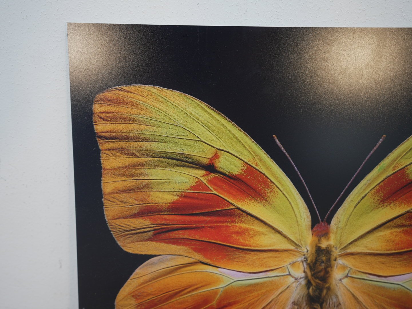 Photo Apr 23 2026, 12 41 08 PM.jpg