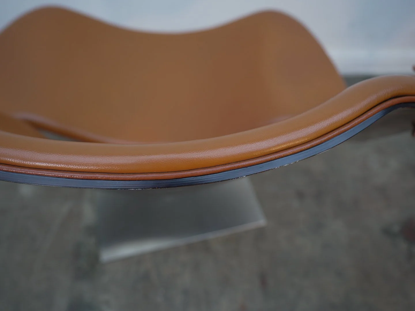 Photo Apr 28 2026, 4 36 45 PM.jpg