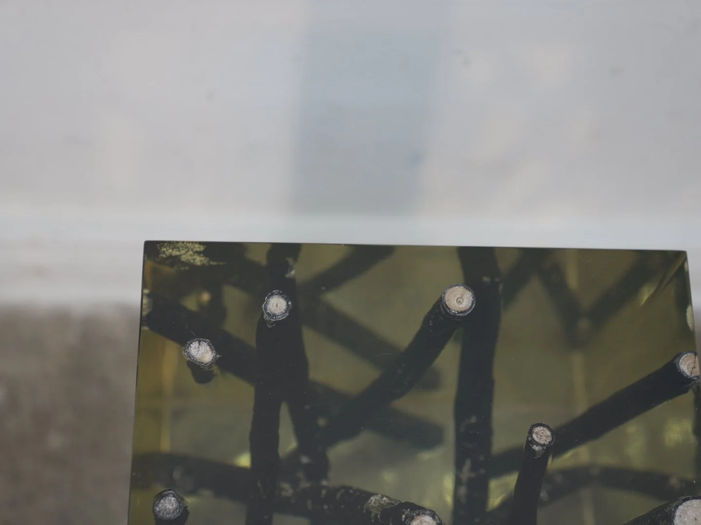 Photo Jan 30 2026, 2 31 53 PM.jpg