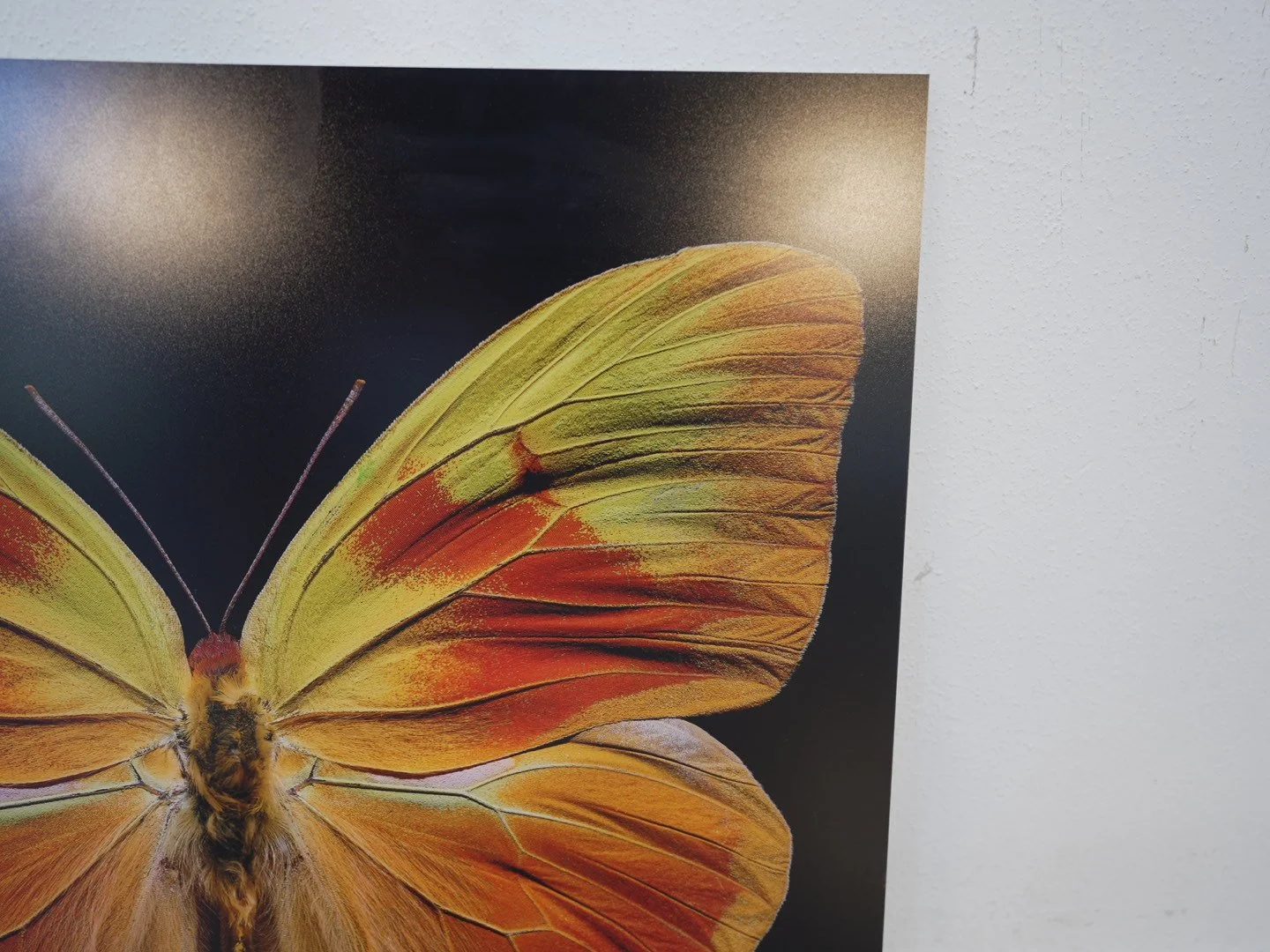 Photo Apr 23 2026, 12 41 21 PM.jpg