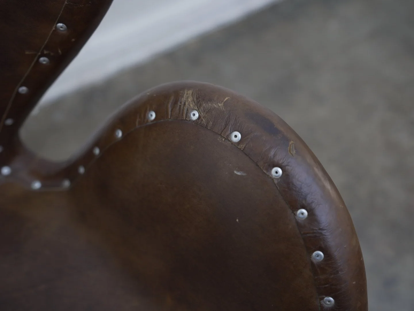 Photo Mar 13 2026, 1 56 51 PM.jpg